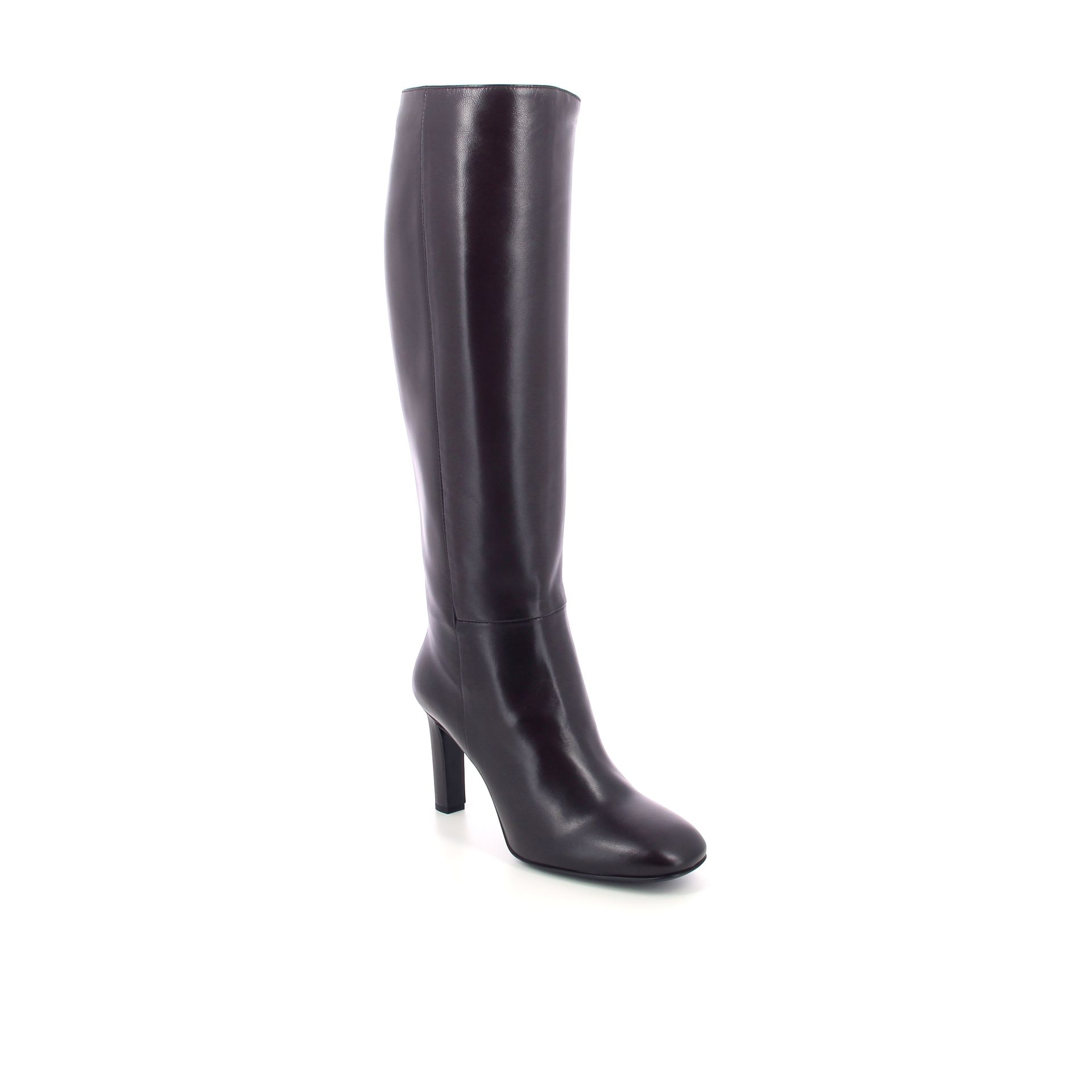 Guglielmo Rotta Shay 266248 bruin