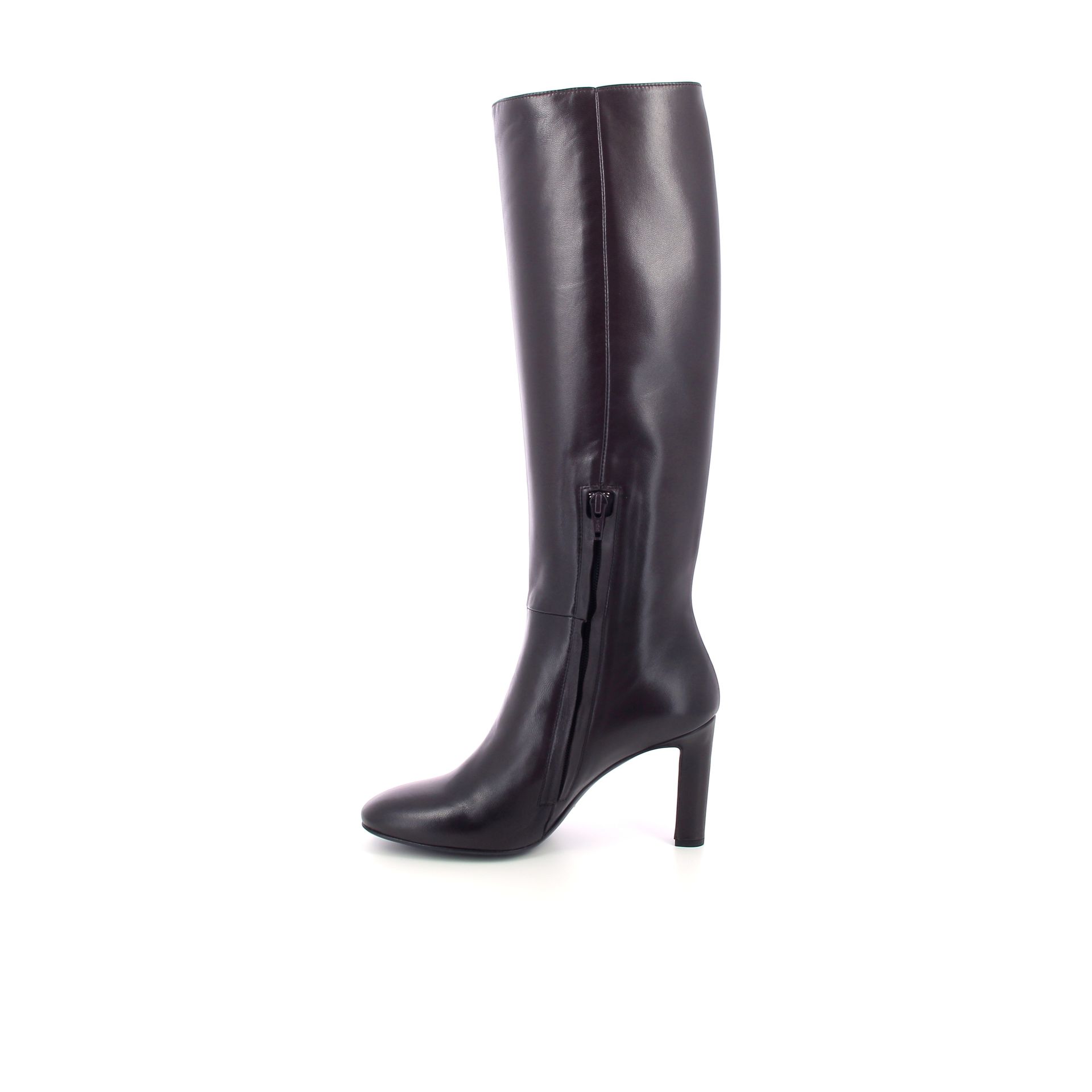Guglielmo Rotta Shay 266248 bruin