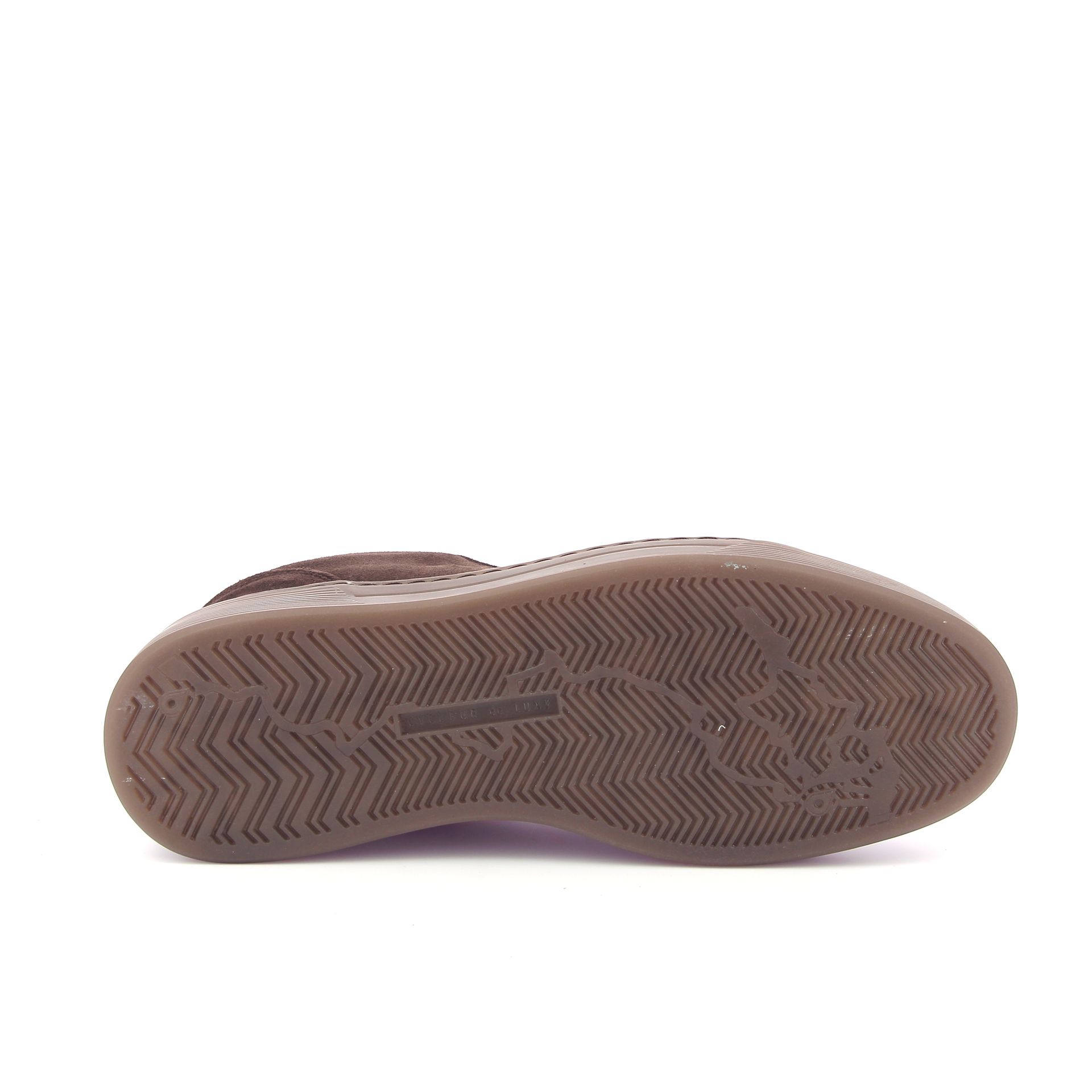 Cycleur De Luxe Feeble T3 266727 bruin