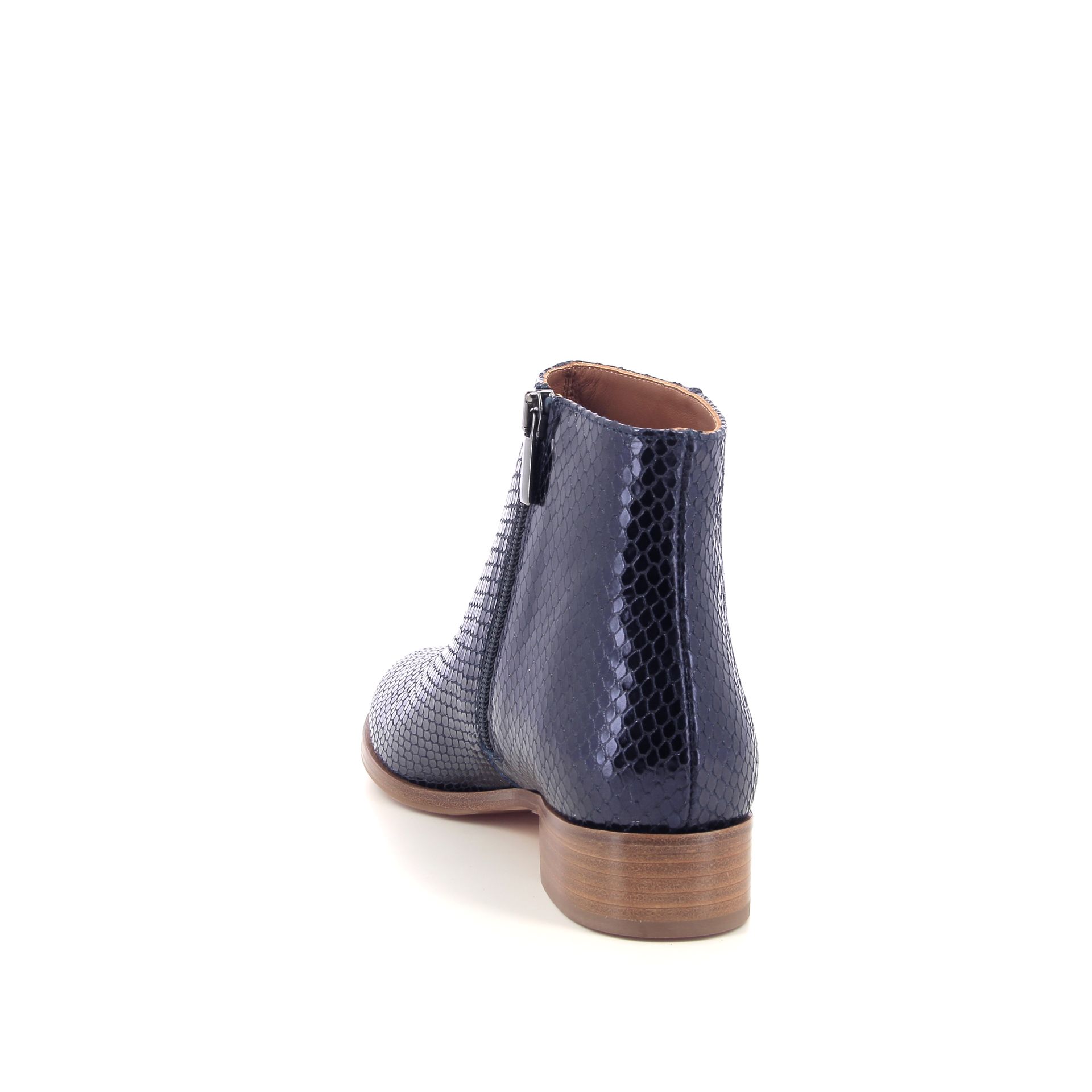 Atelier Content Dila 266831 blauw