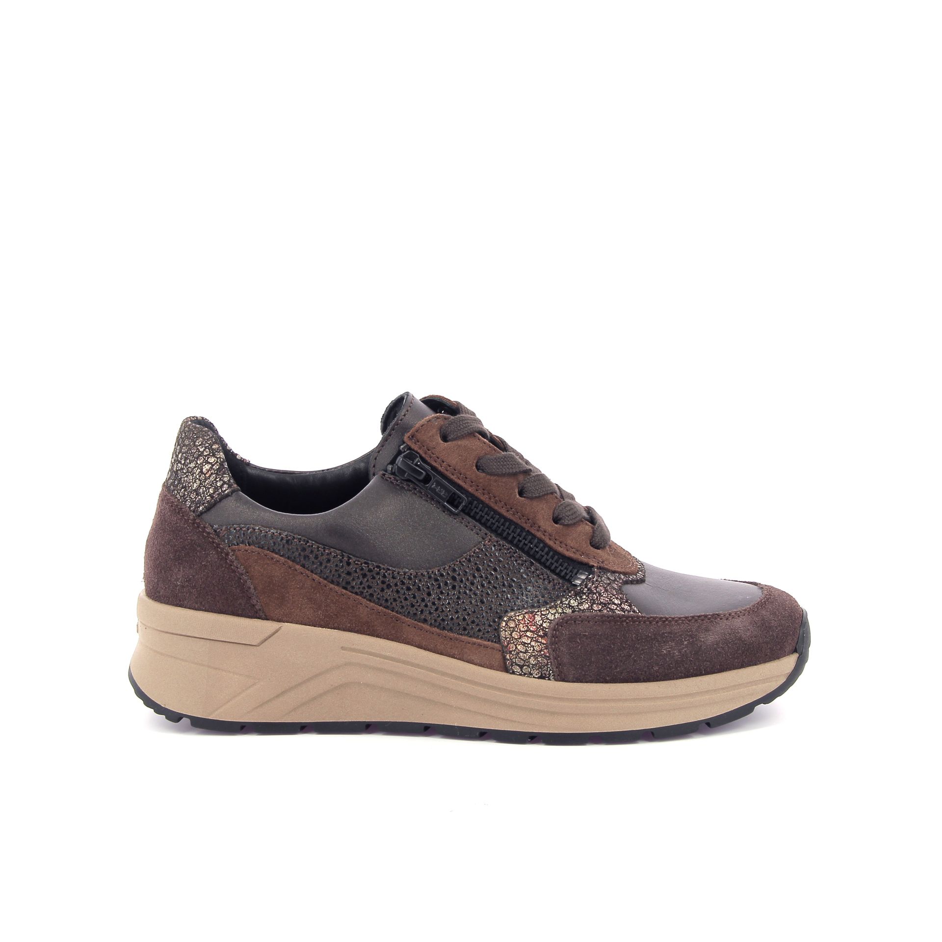 Solidus Holly 266874 bruin