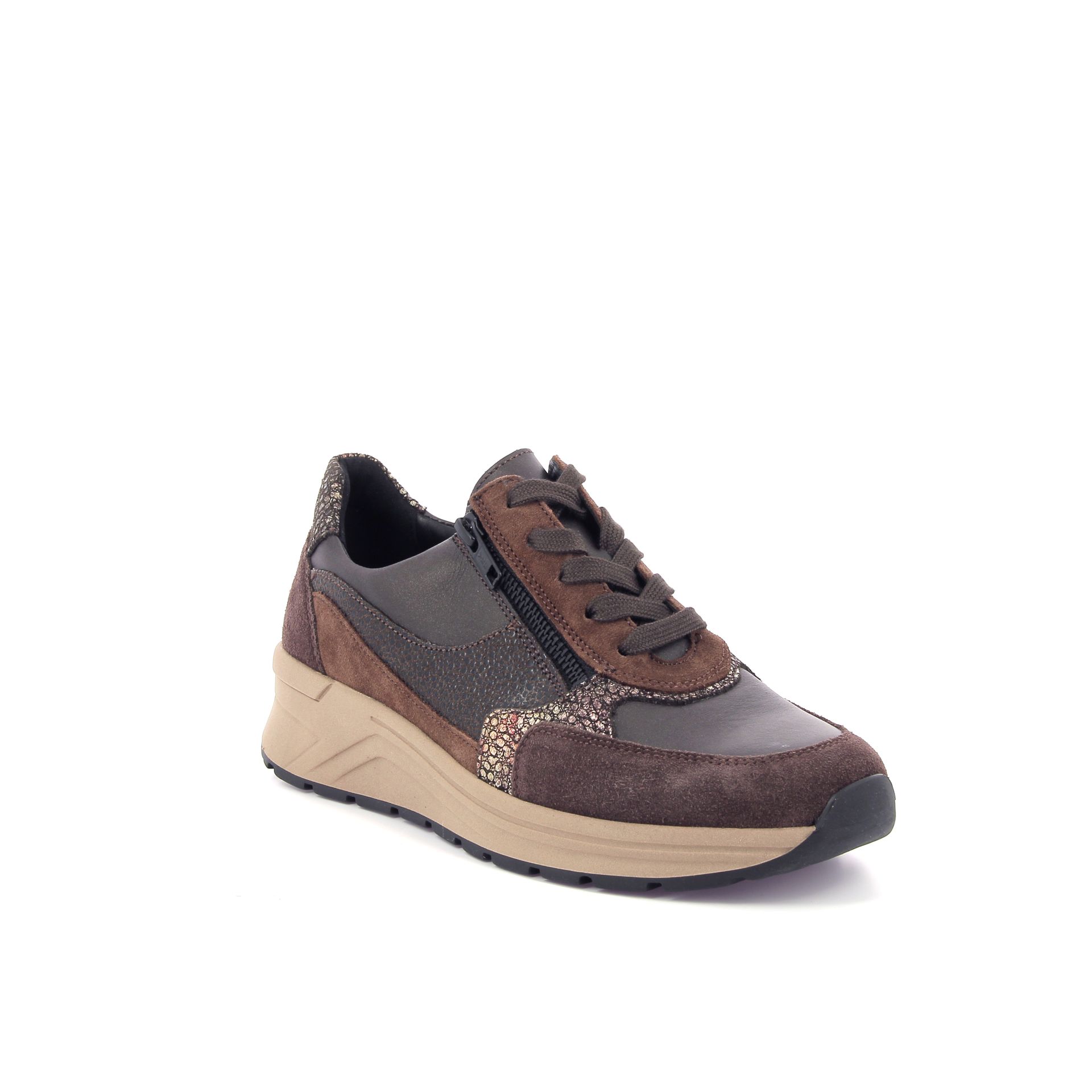 Solidus Holly 266874 bruin