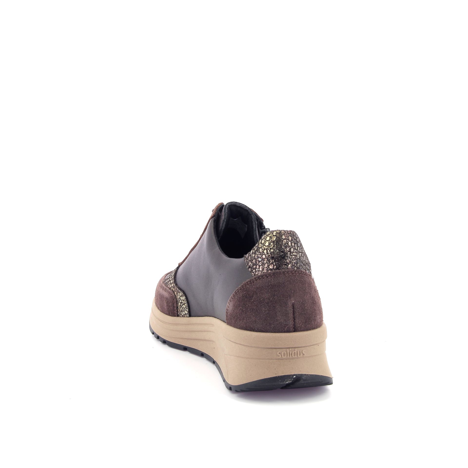 Solidus Holly 266874 bruin