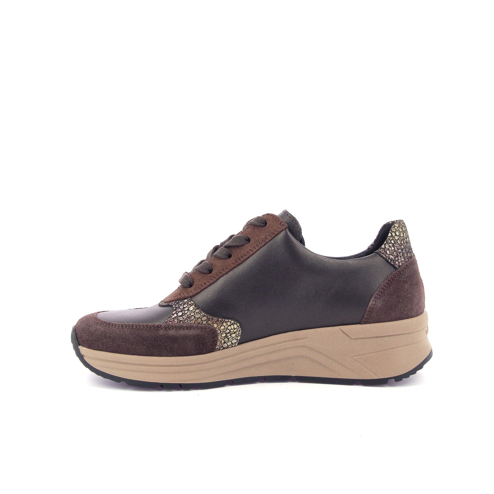 Solidus Holly 266874 bruin
