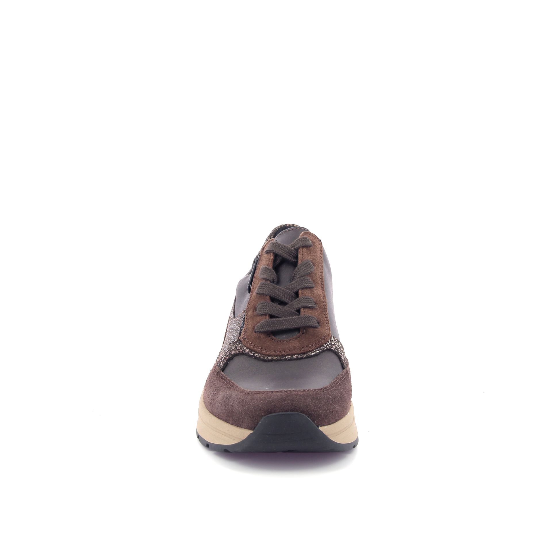 Solidus Holly 266874 bruin