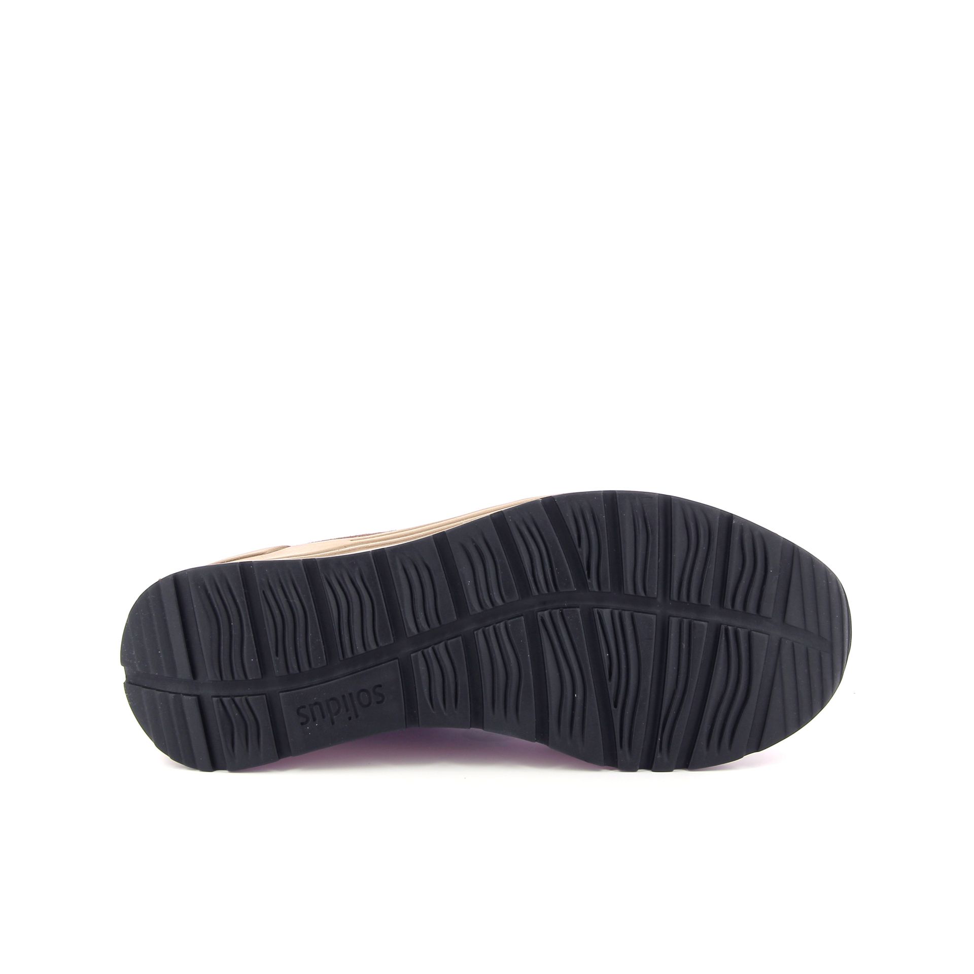 Solidus Holly 266874 bruin