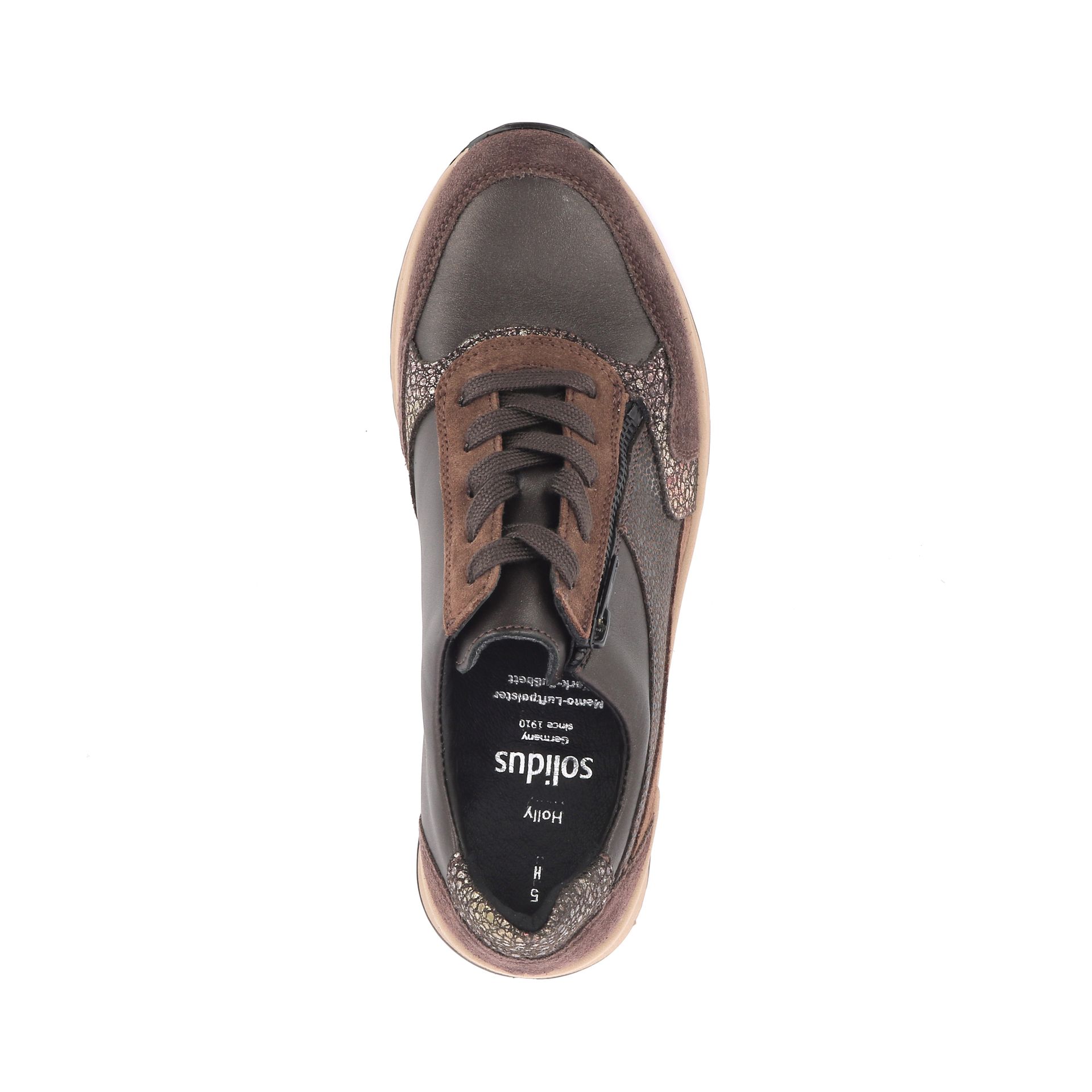 Solidus Holly 266874 bruin