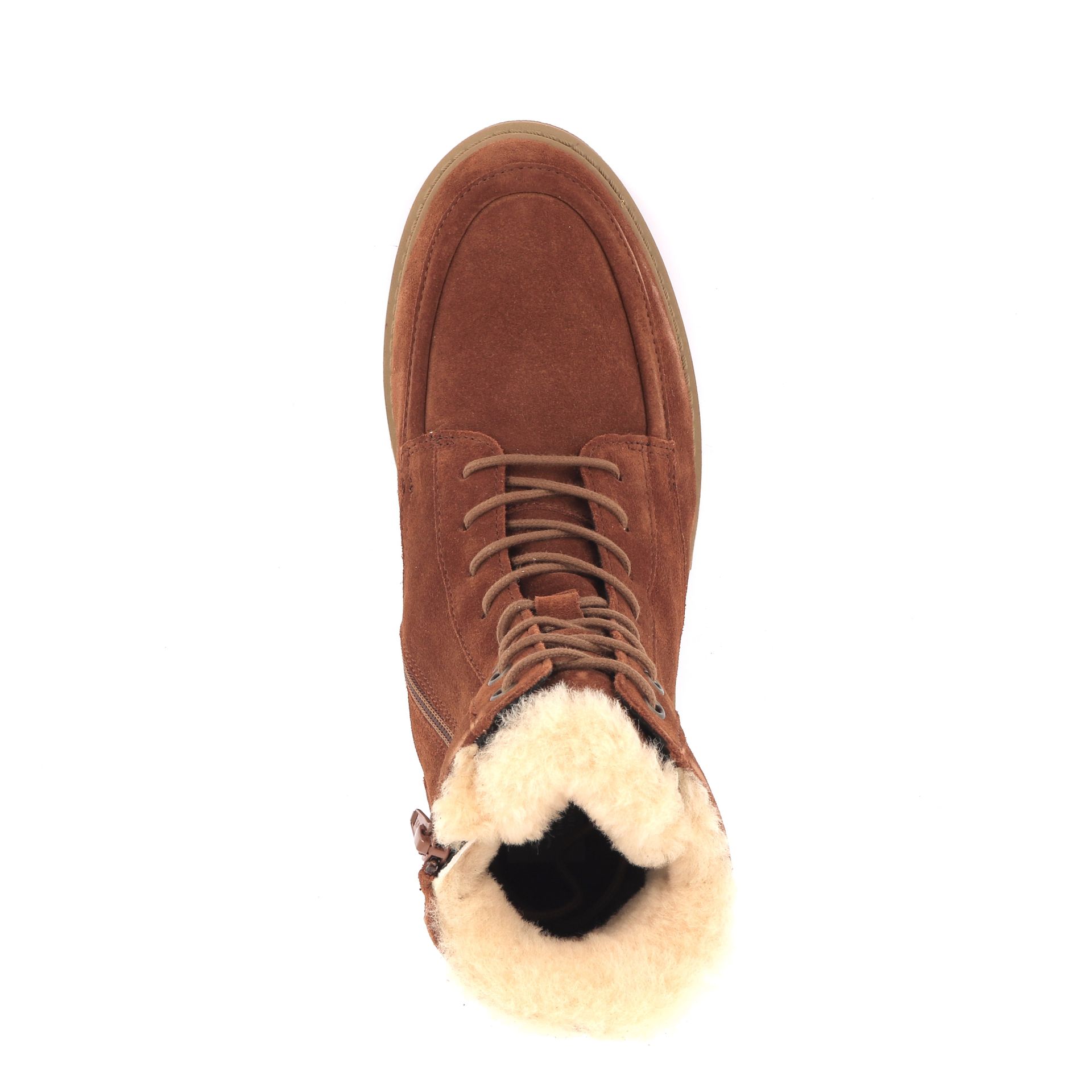Solidus Kelly 266890 cognac