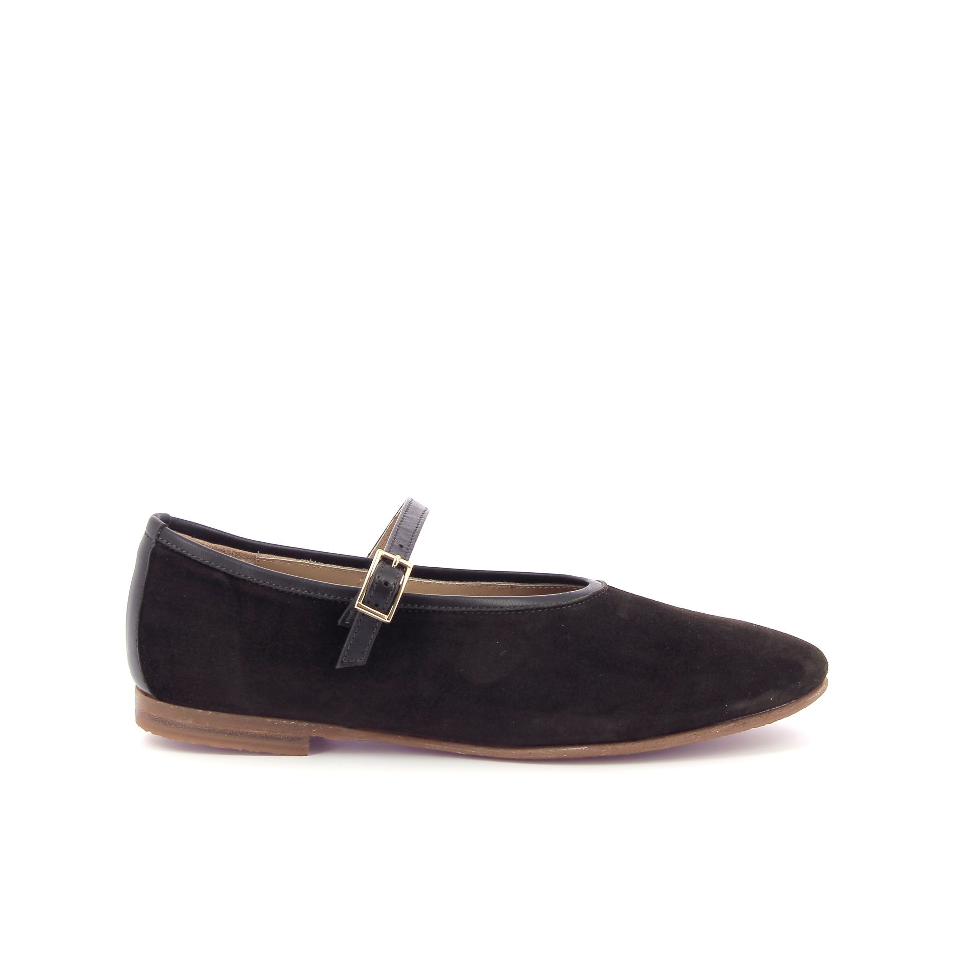 Pascucci Ballerina 266910 bruin