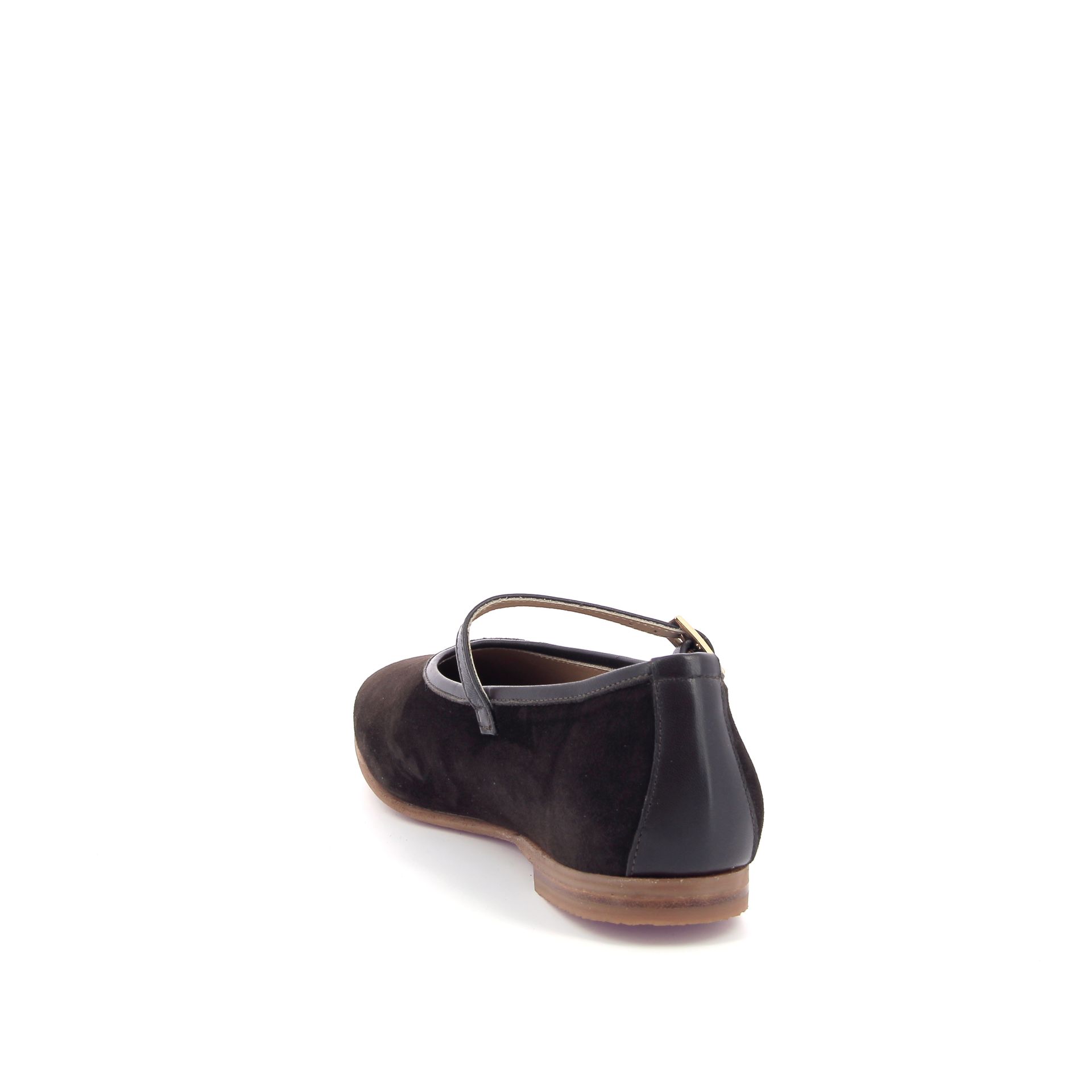 Pascucci Ballerina 266910 bruin