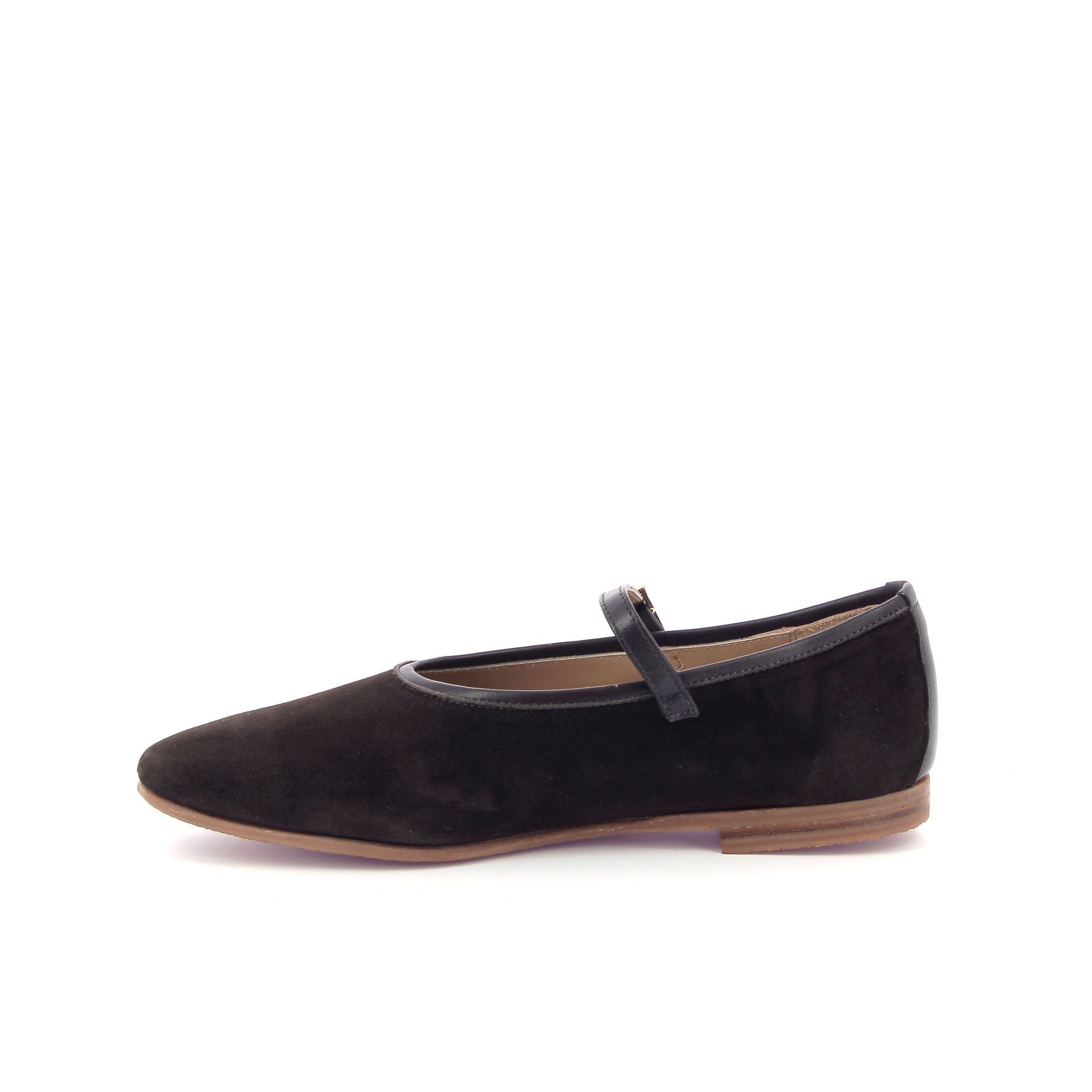 Pascucci Ballerina 266910 bruin