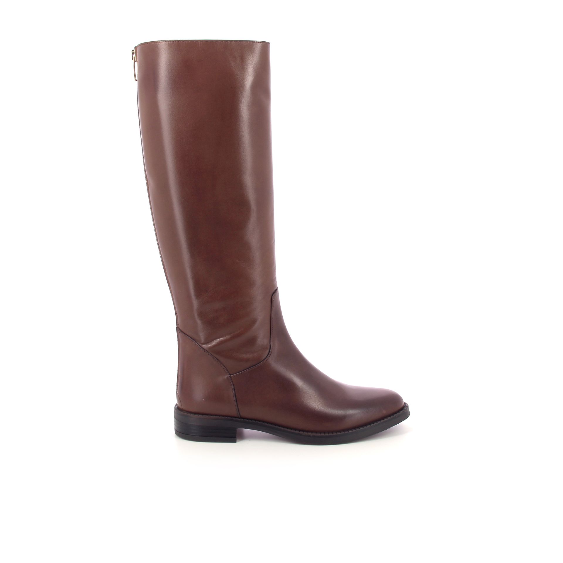 Gianni Crasto Laars 266948 cognac