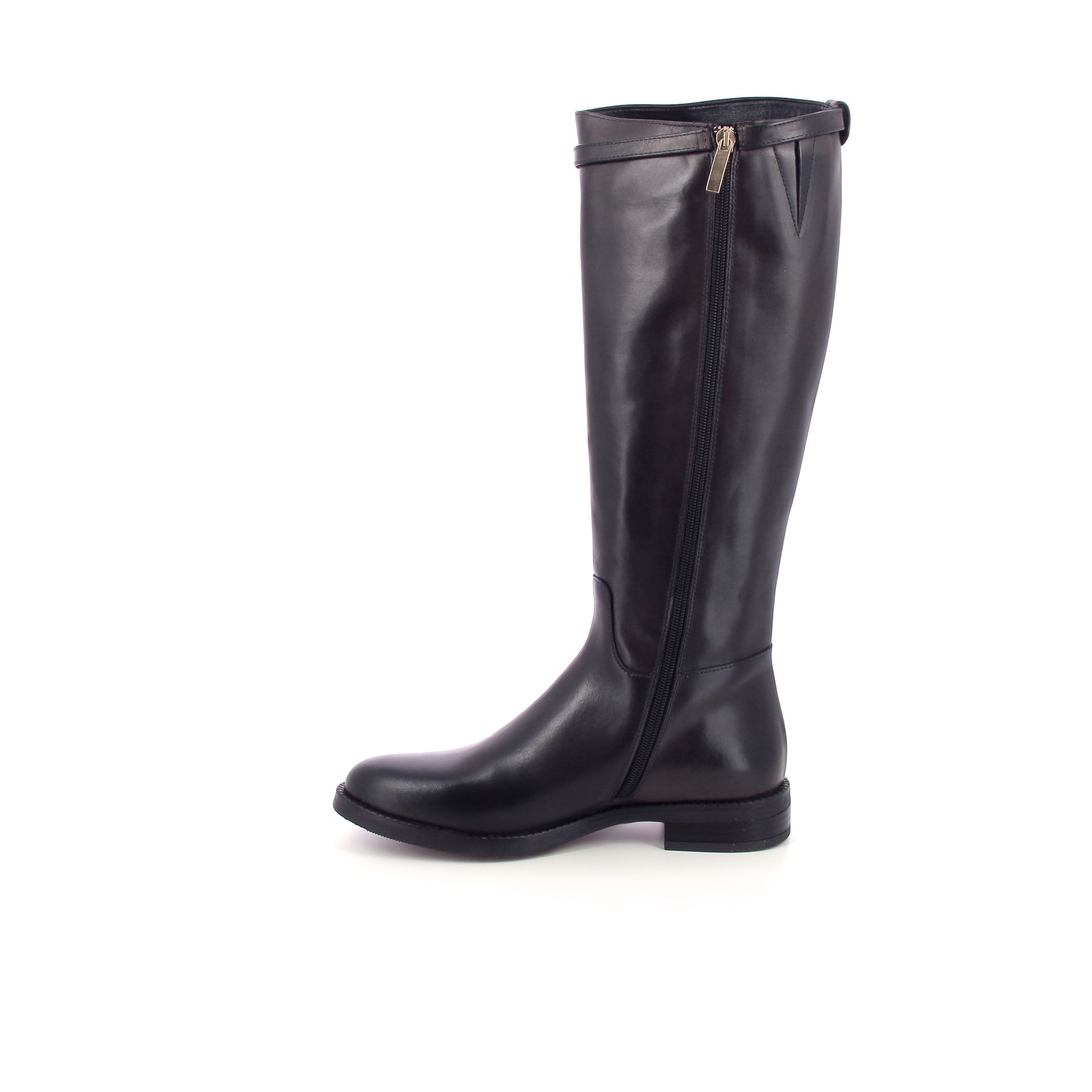 Gianni Crasto Laars 266953 bruin