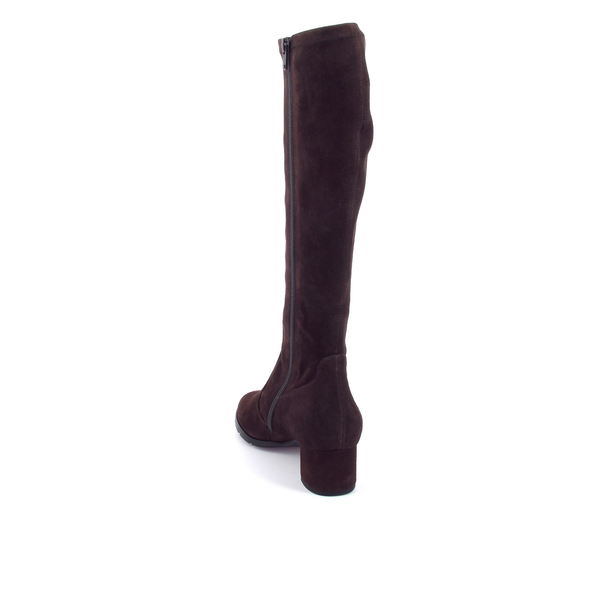 Hassia Laars 267007 bruin