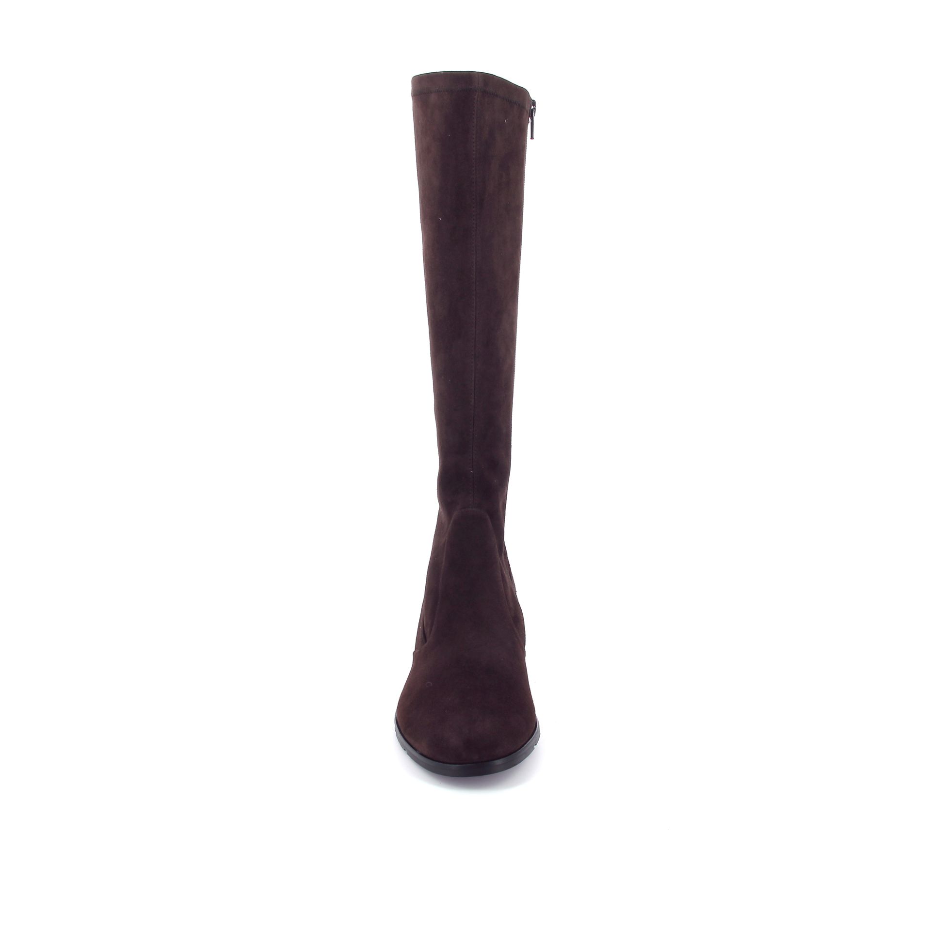 Hassia Laars 267007 bruin