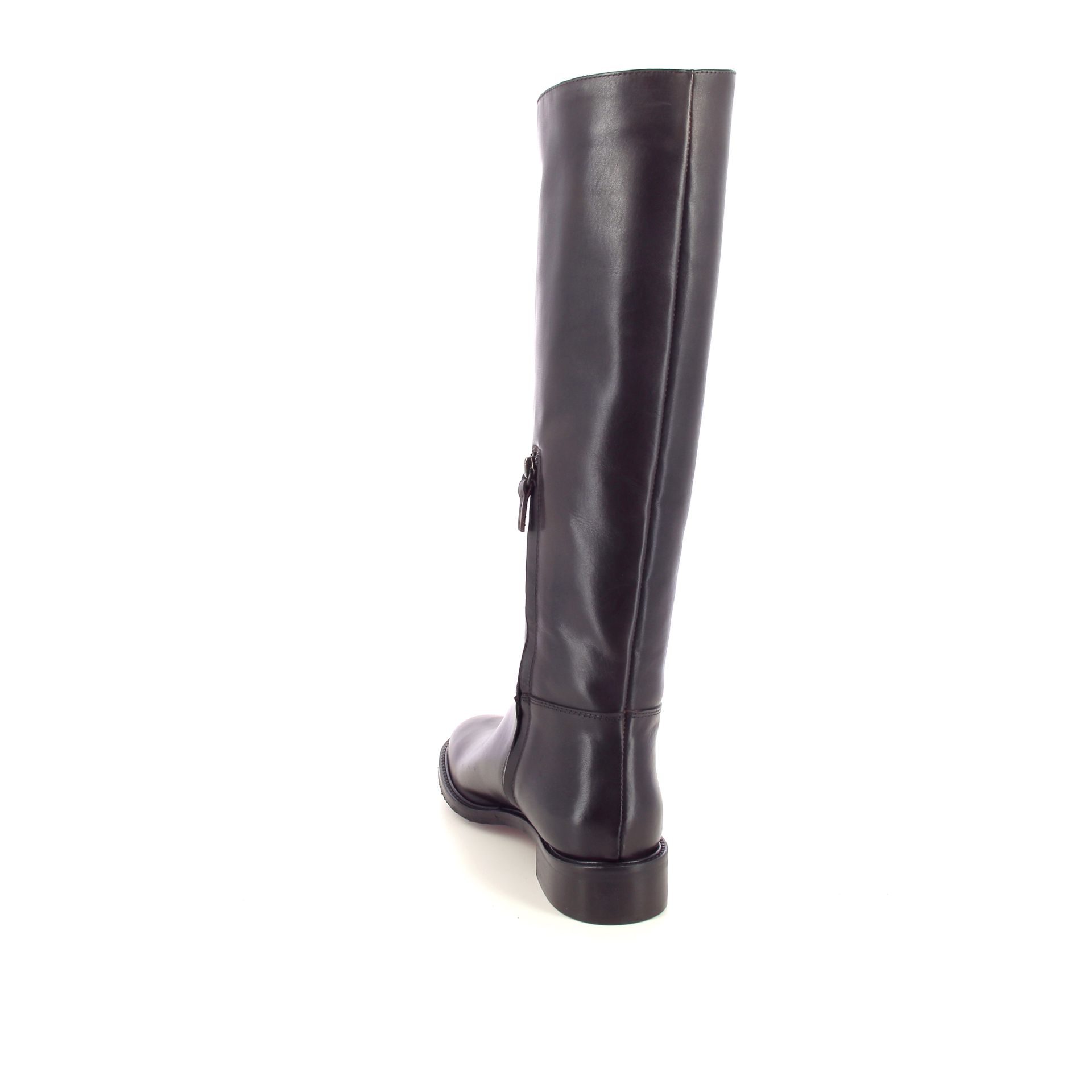 Julie Dee Laars 267195 bruin