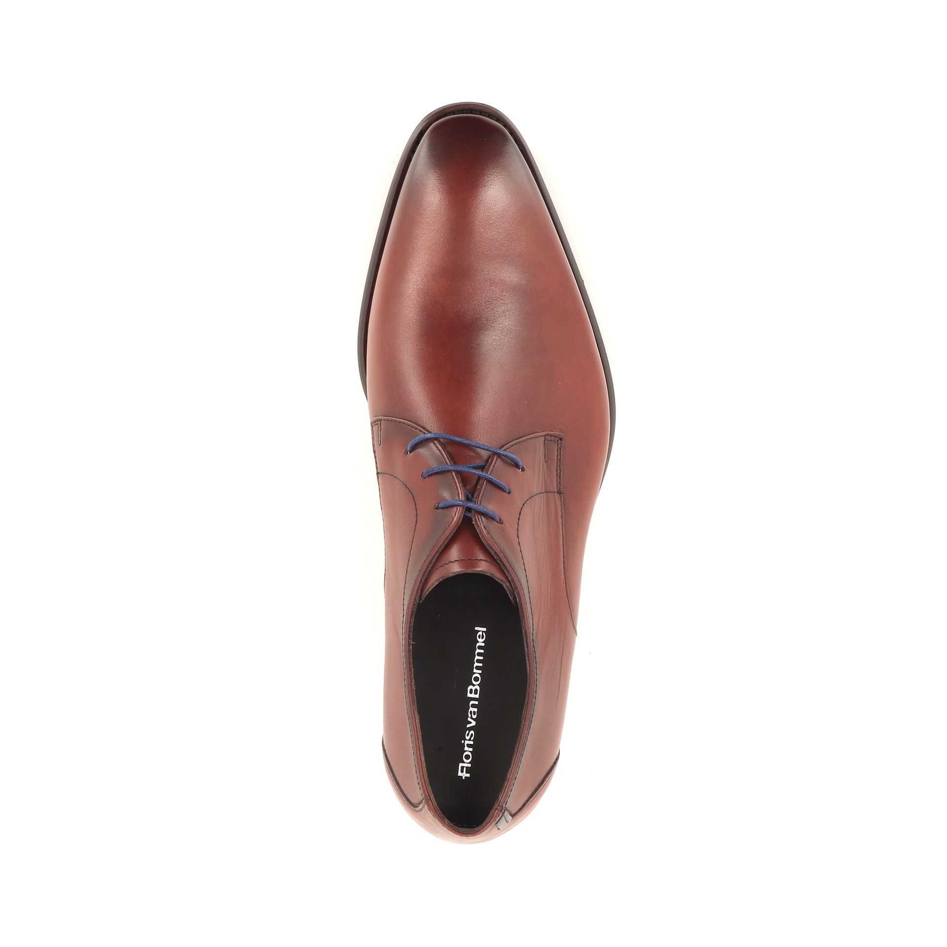 Floris Van Bommel De Netter 20.00 267213 cognac