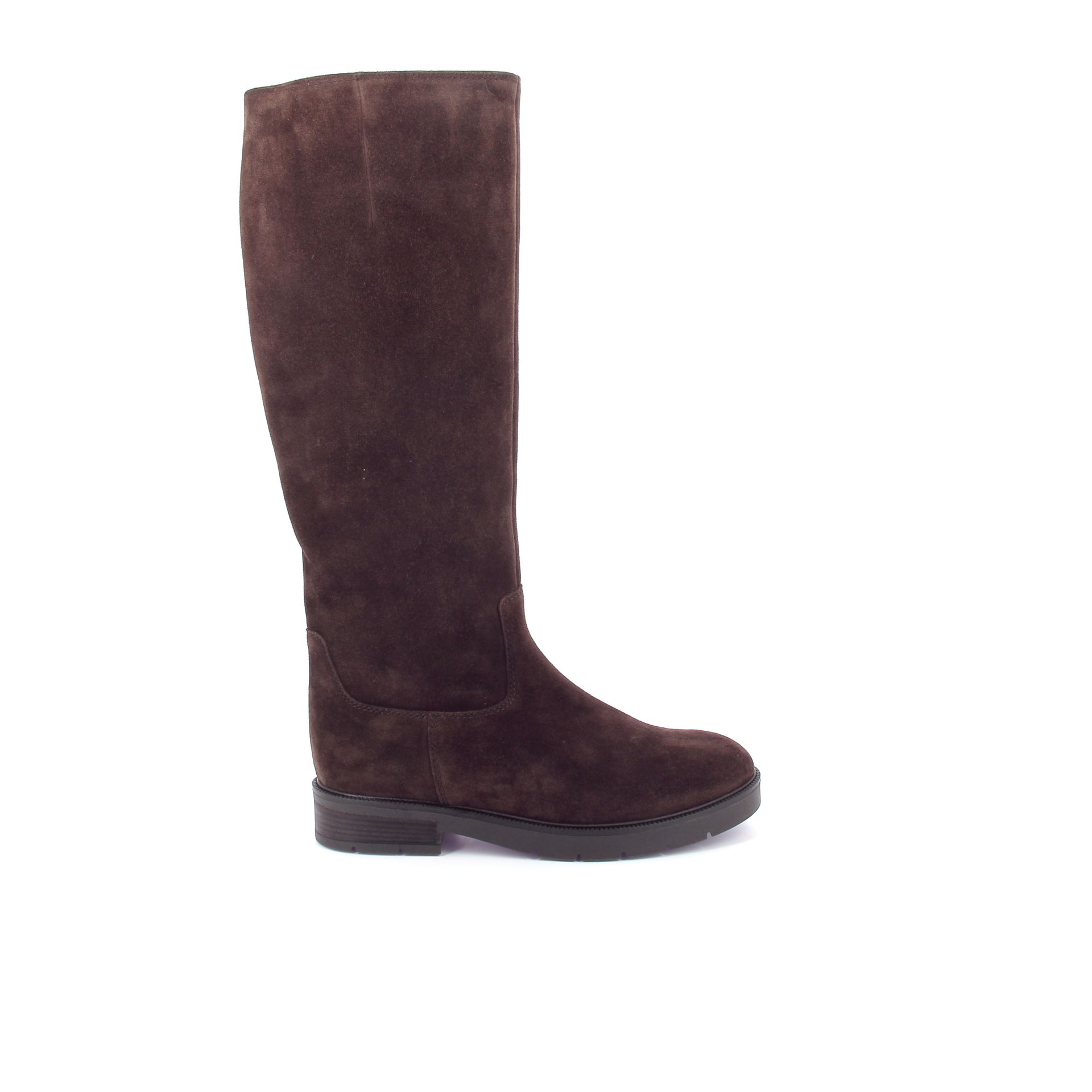 Gabor Laars 267299 bruin