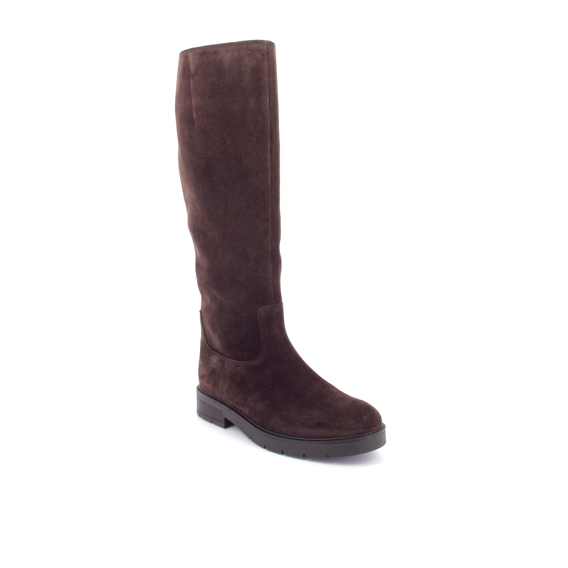 Gabor Laars 267299 bruin