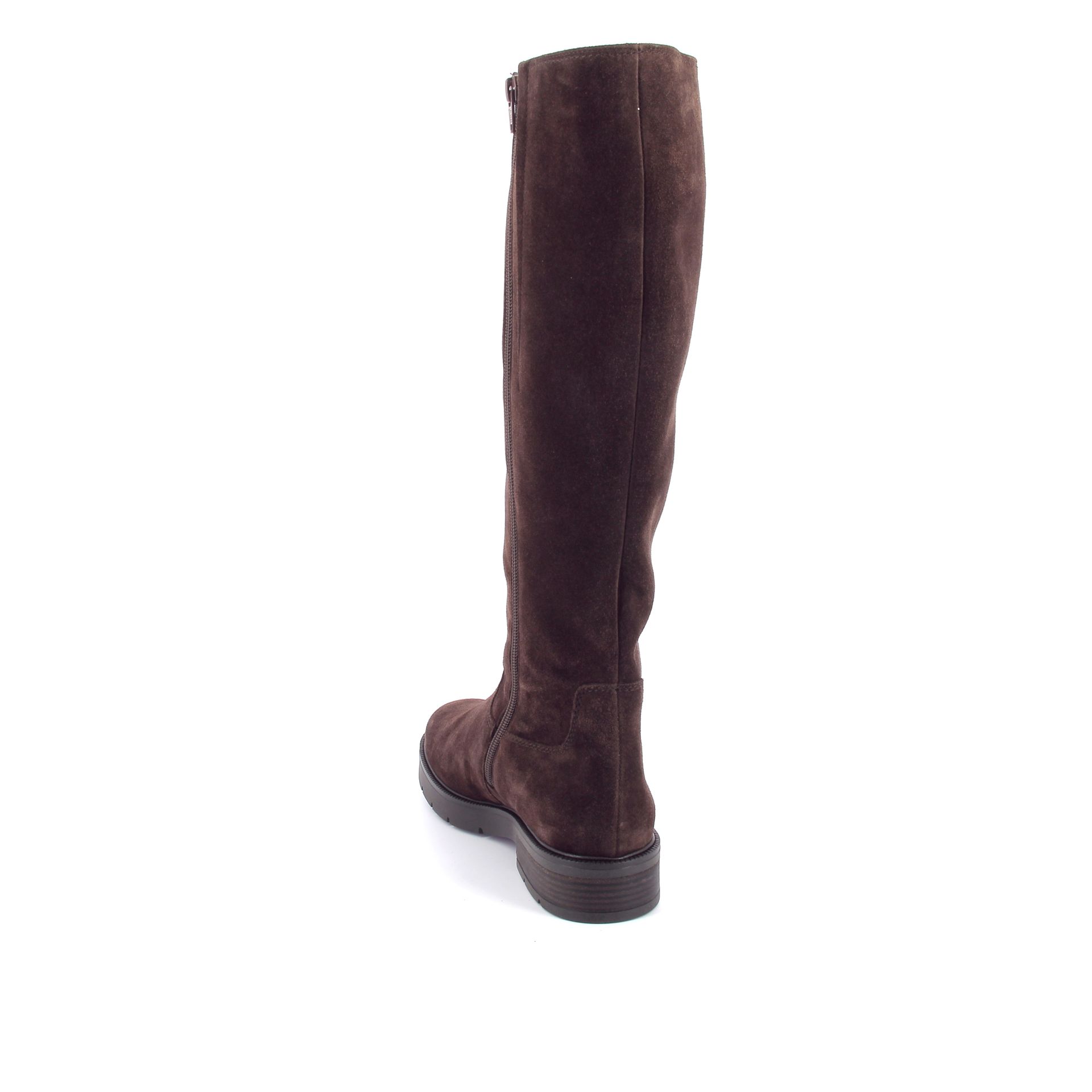 Gabor Laars 267299 bruin