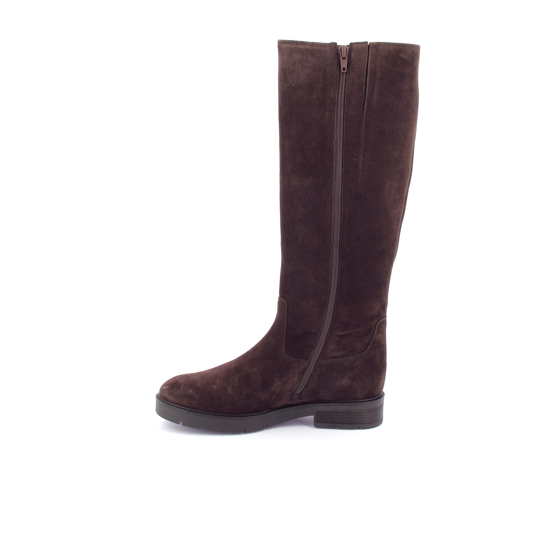 Gabor Laars 267299 bruin