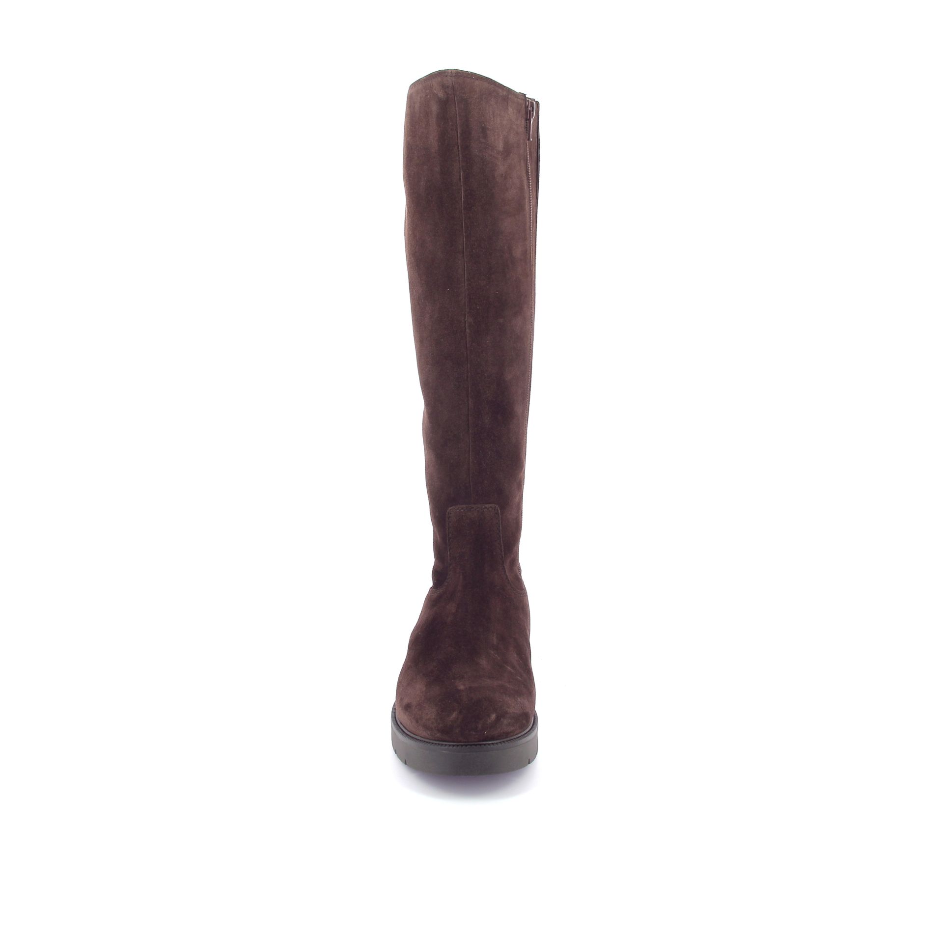 Gabor Laars 267299 bruin