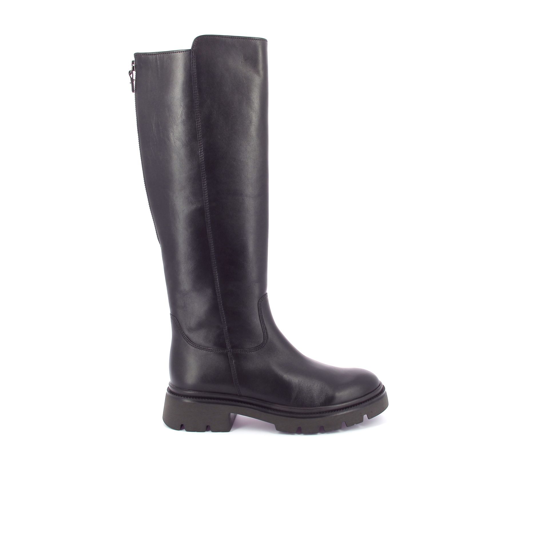 Gabor Laars 267302 bruin