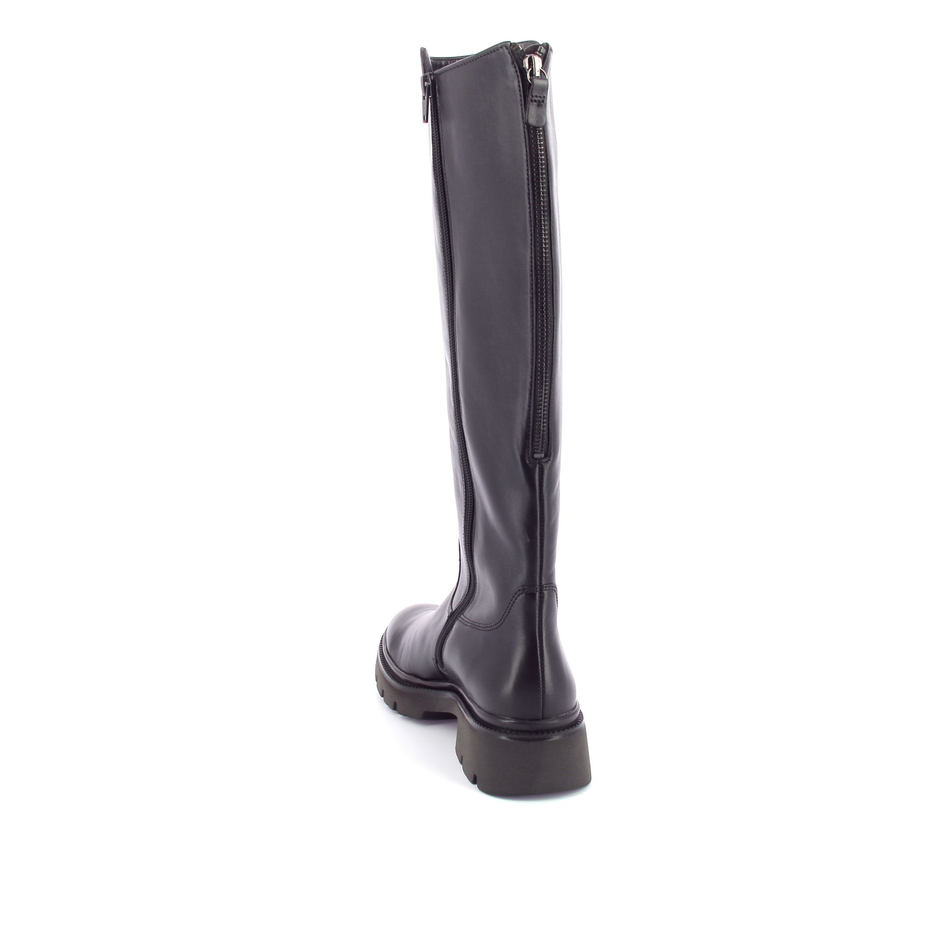 Gabor Laars 267302 bruin