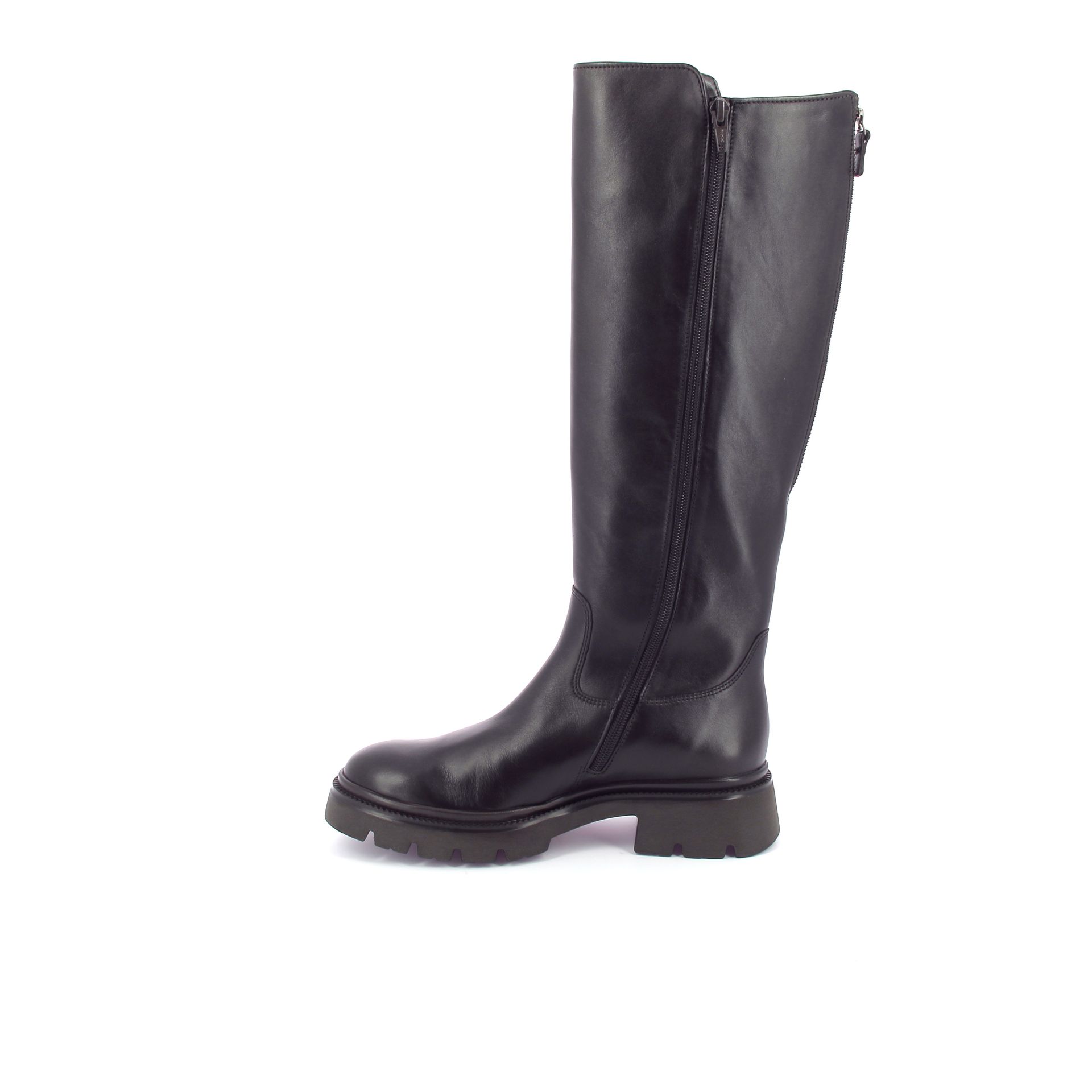 Gabor Laars 267302 bruin