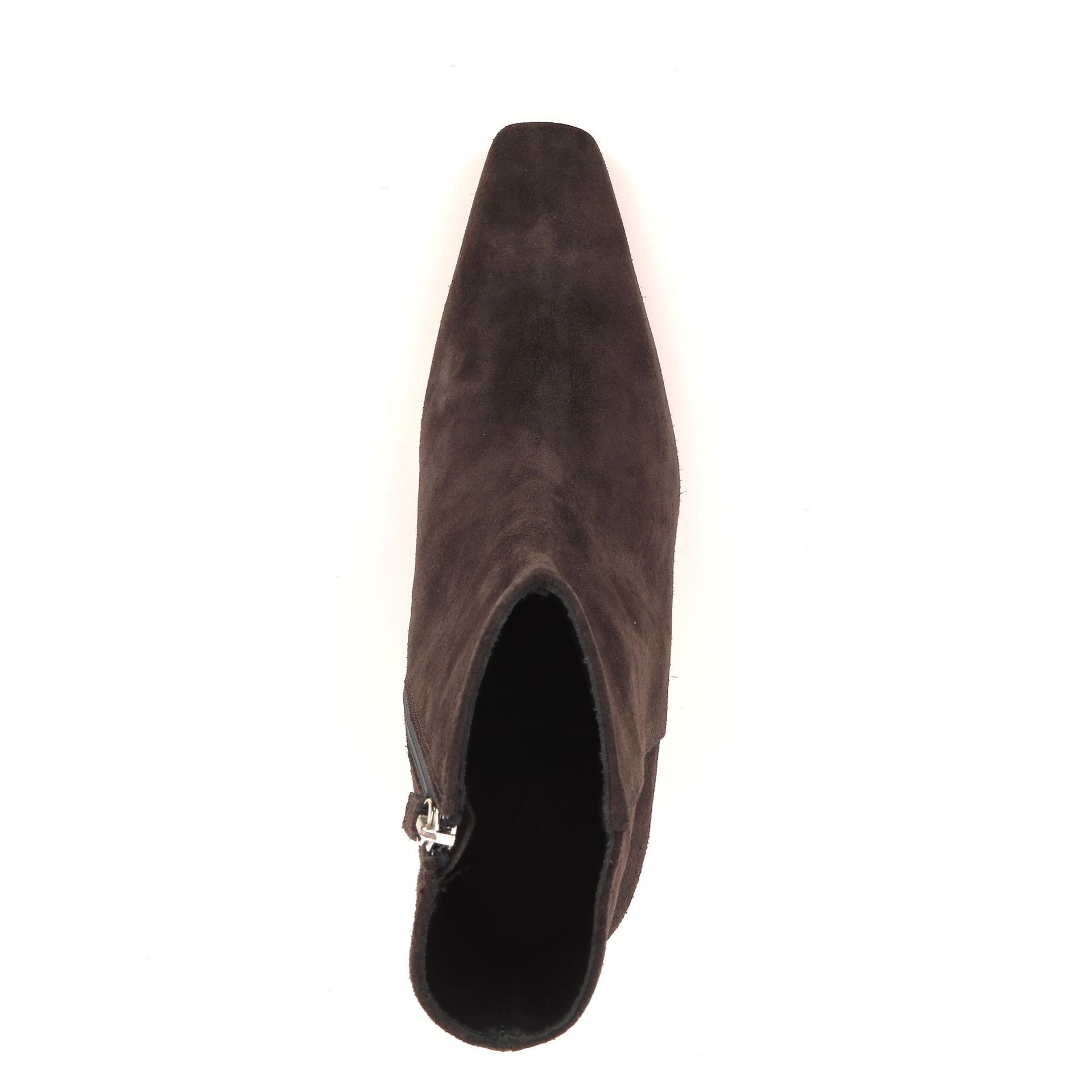 Odare Phaedra 267325 bruin