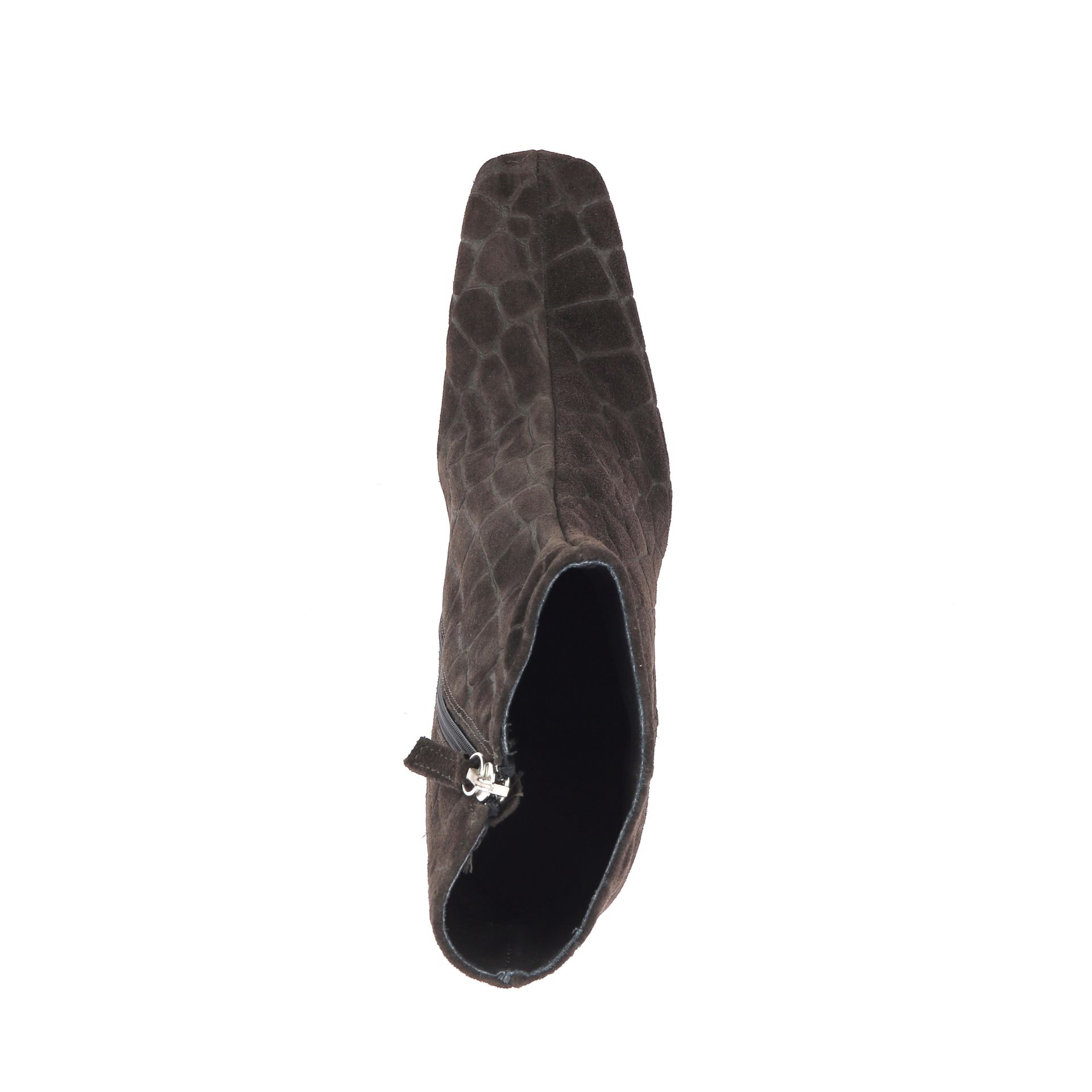 Odare Paula 267328 bruin
