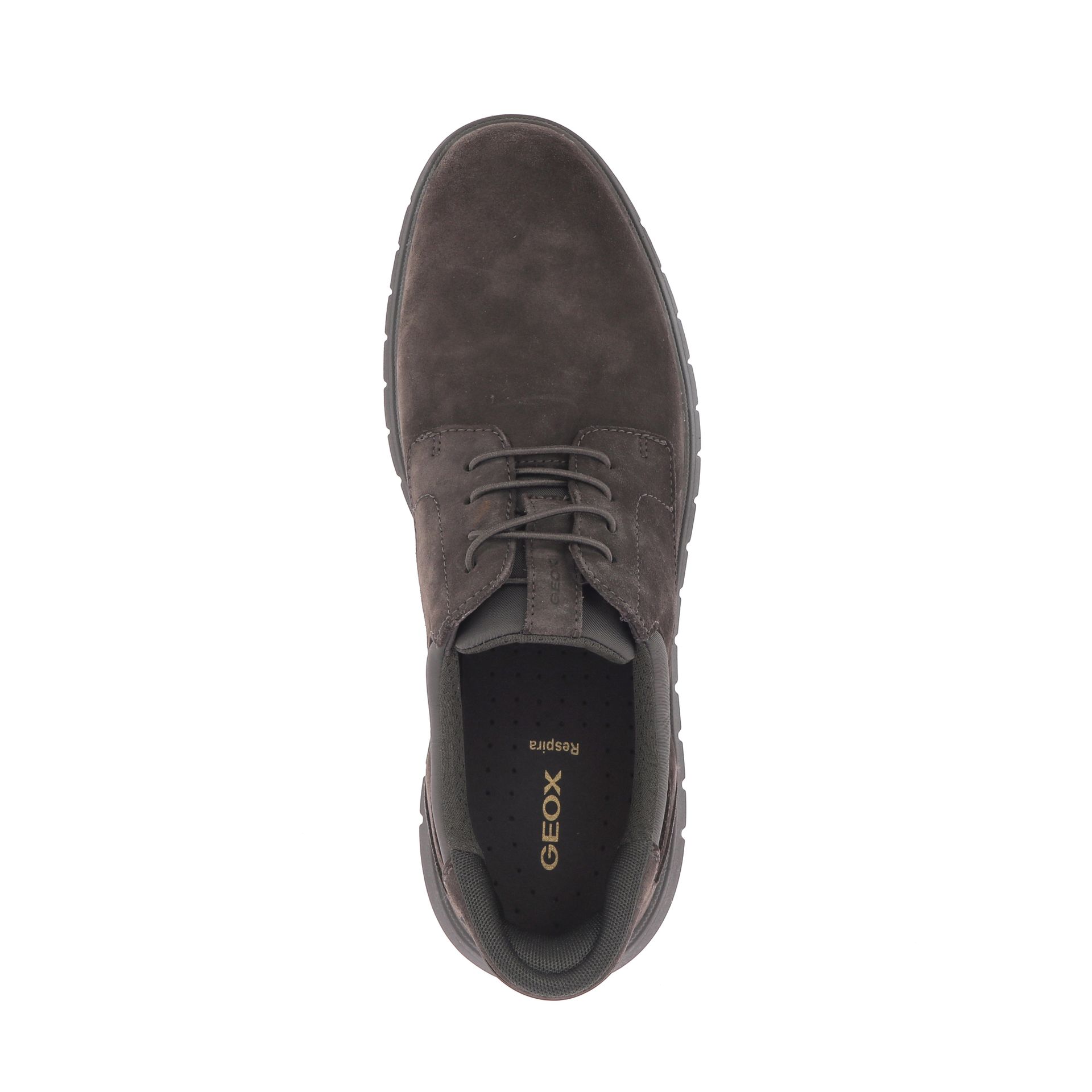 Geox Veterschoen 267387 bruin