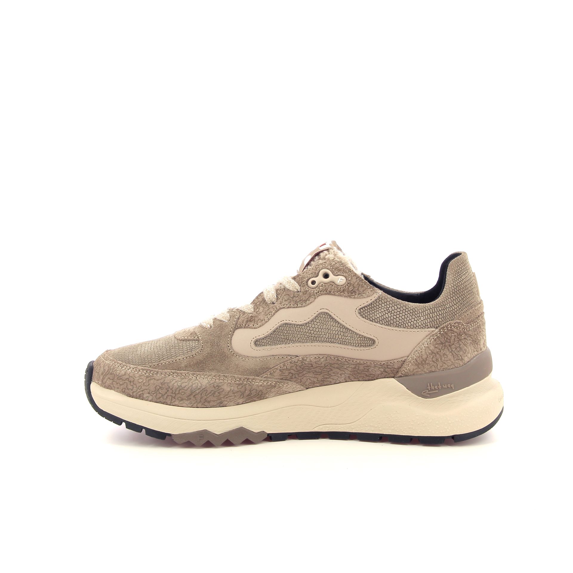 Floris Van Bommel Treni 267601 beige