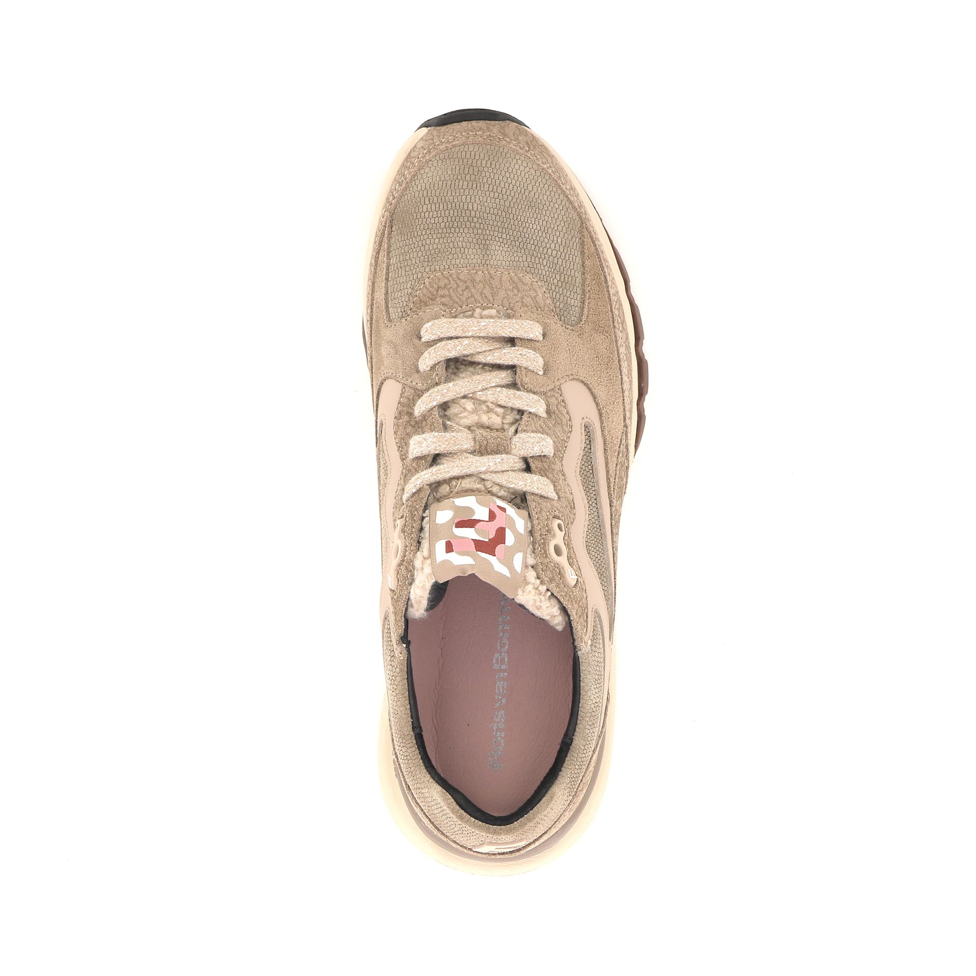 Floris Van Bommel Treni 267601 beige