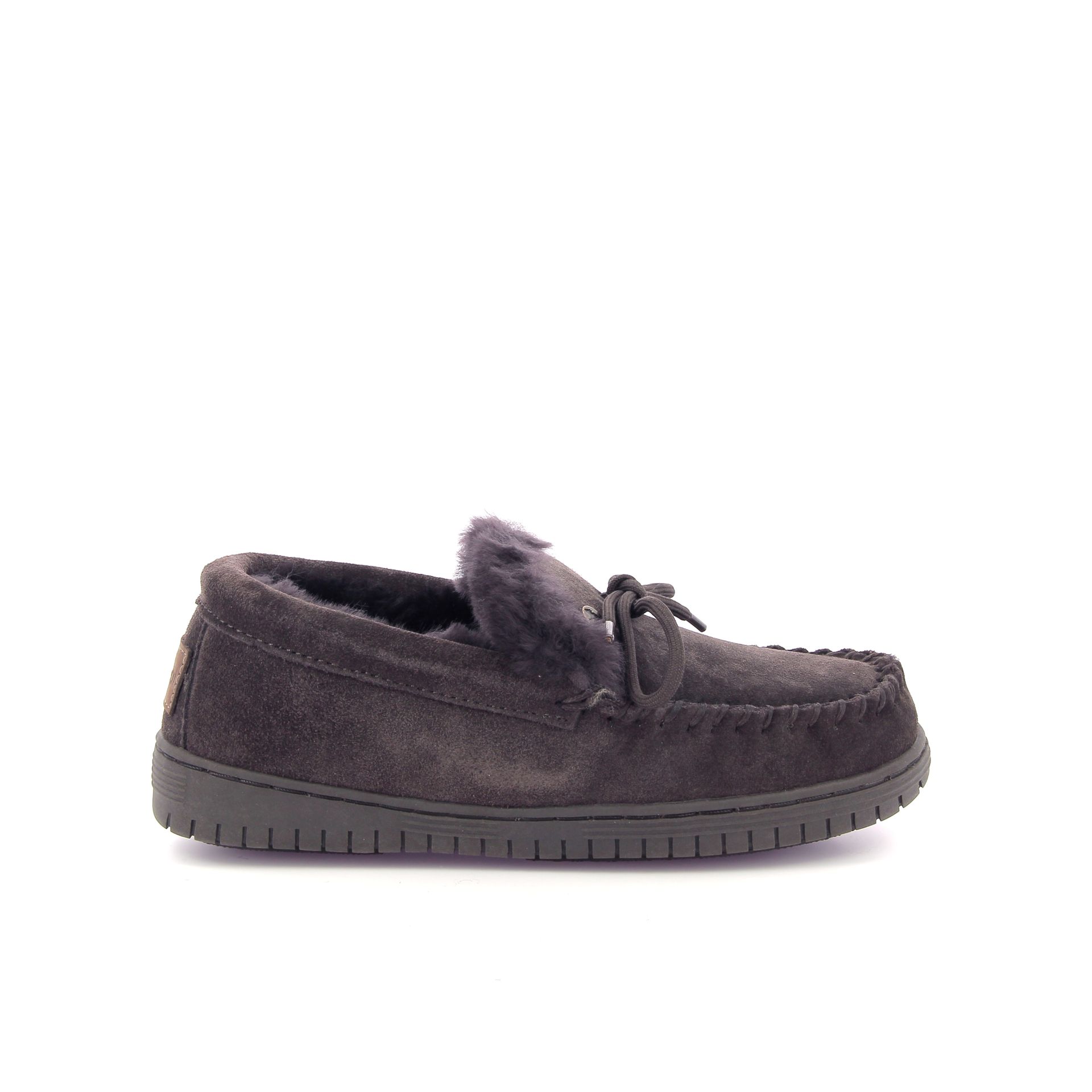 Warmbat Koala 267727 bruin