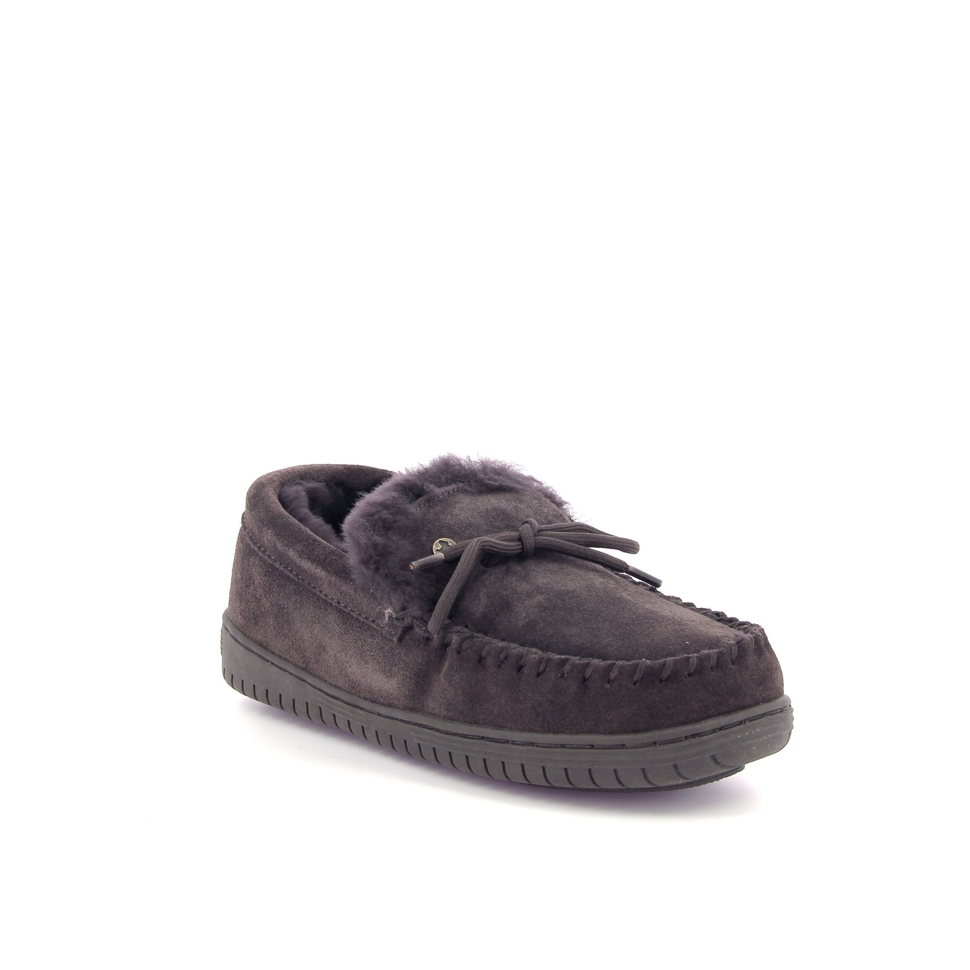 Warmbat Koala 267727 bruin
