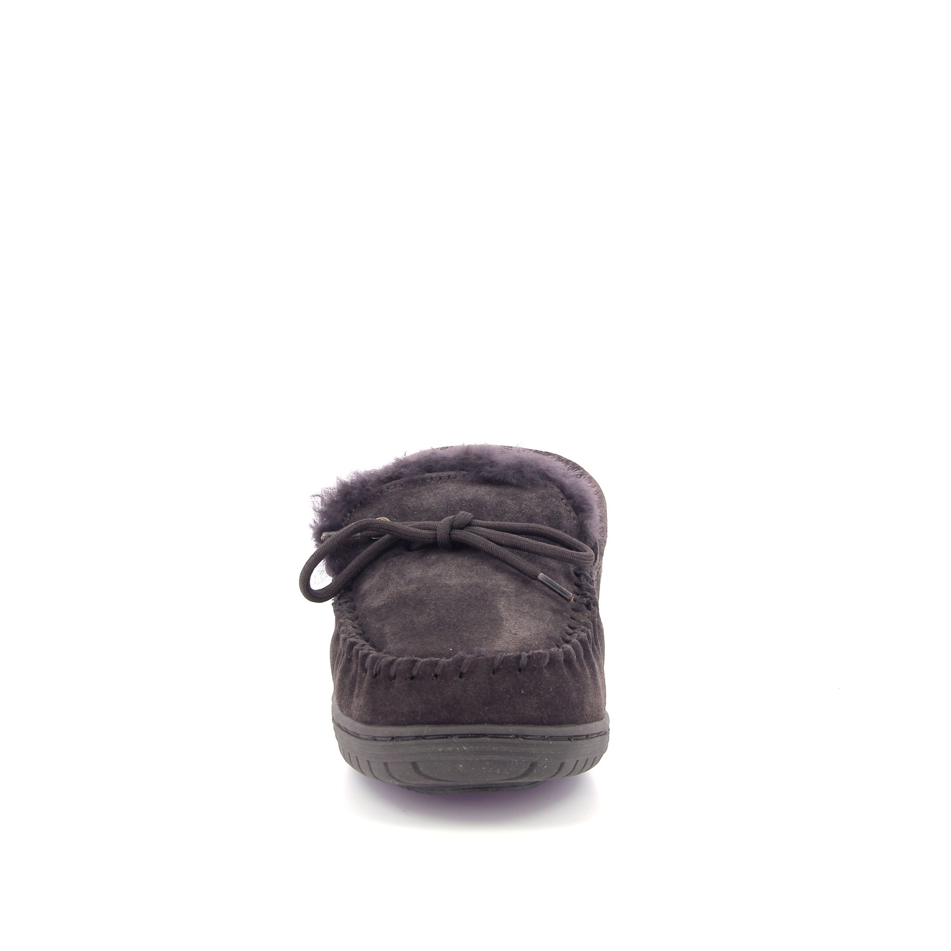 Warmbat Koala 267727 bruin