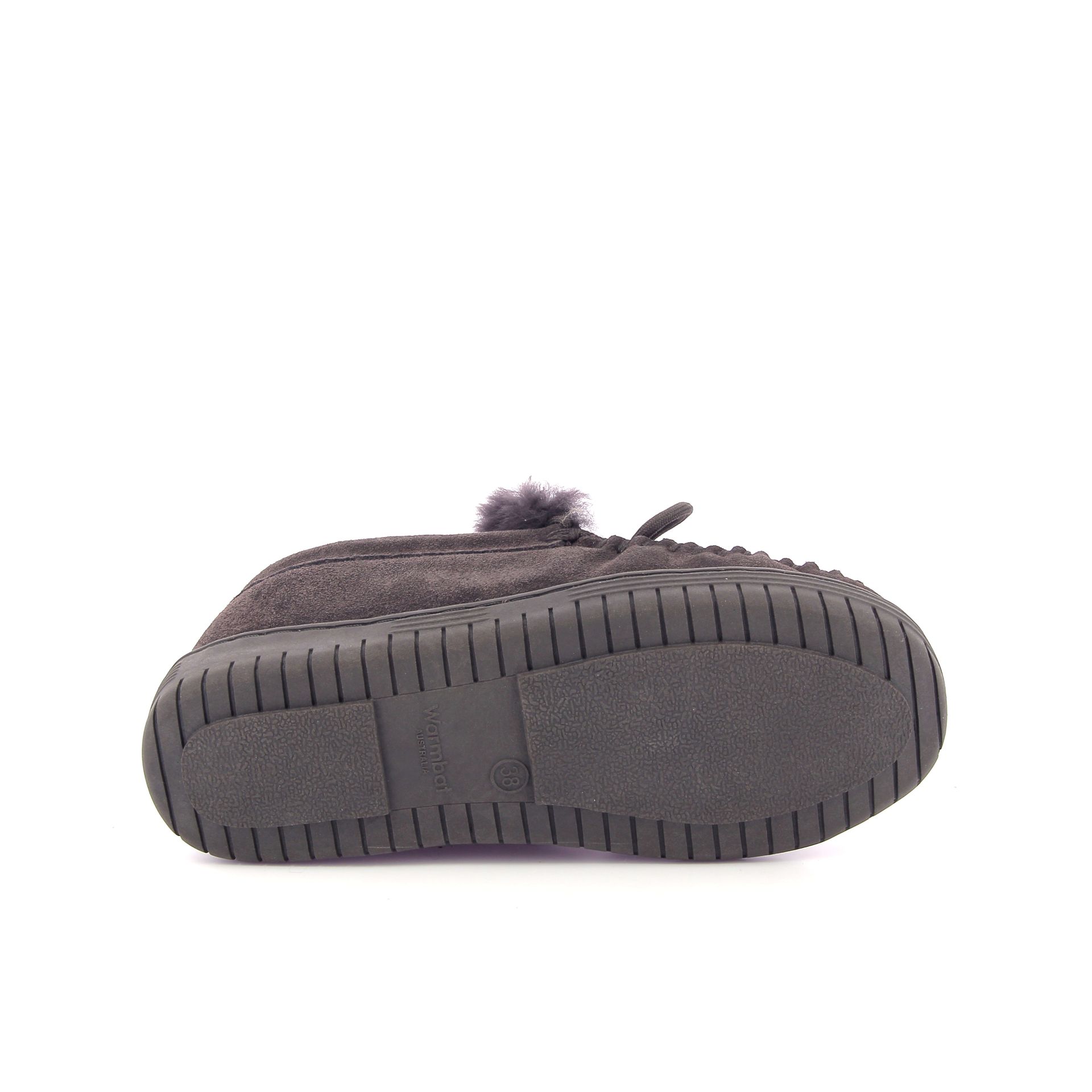 Warmbat Koala 267727 bruin