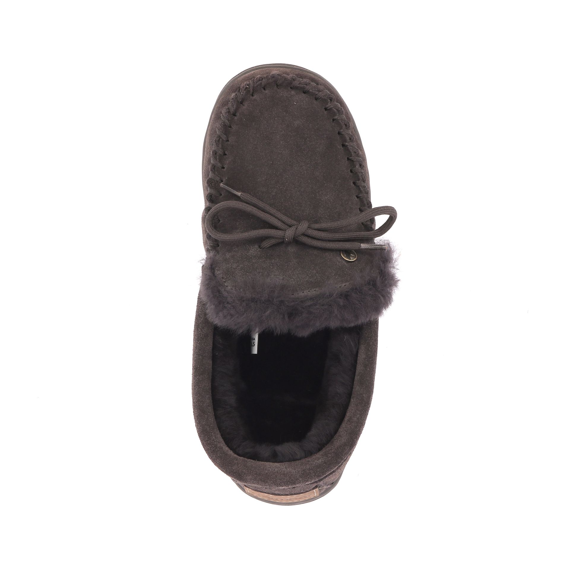 Warmbat Koala 267727 bruin
