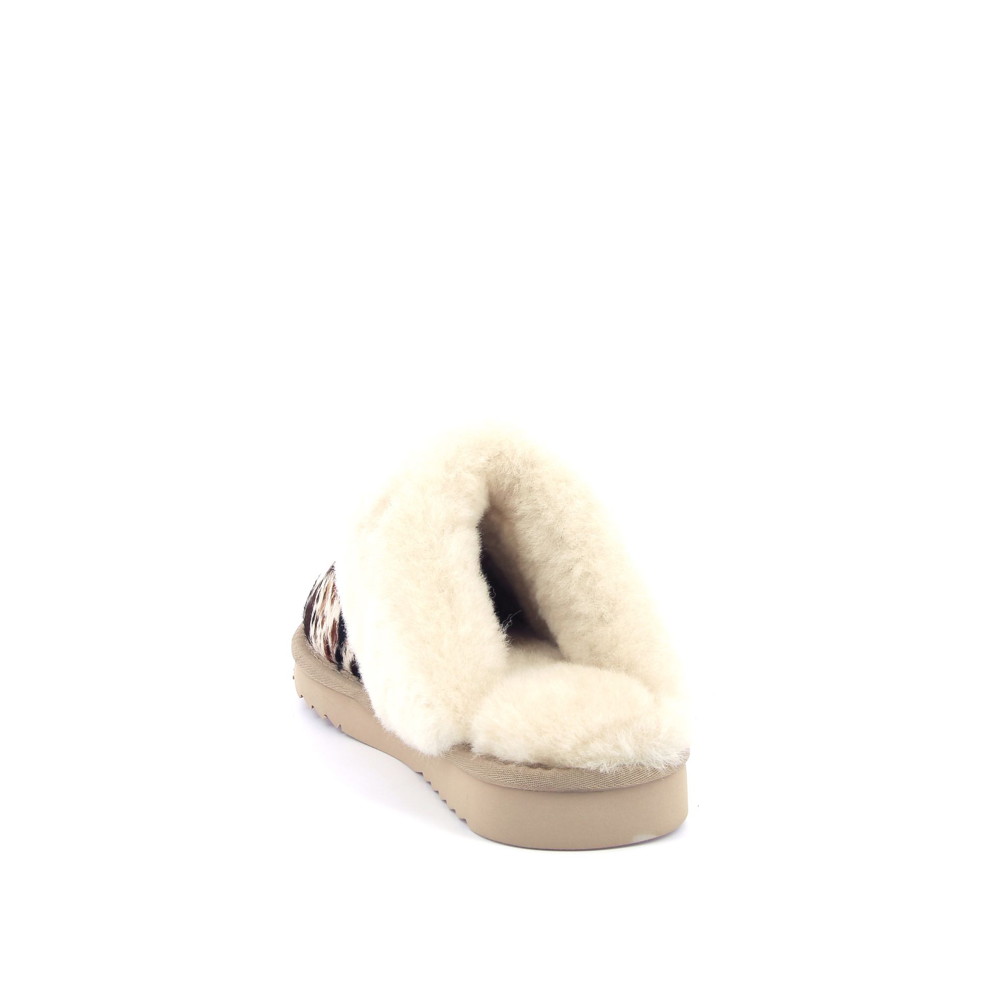 Warmbat Collie 267728 bruin