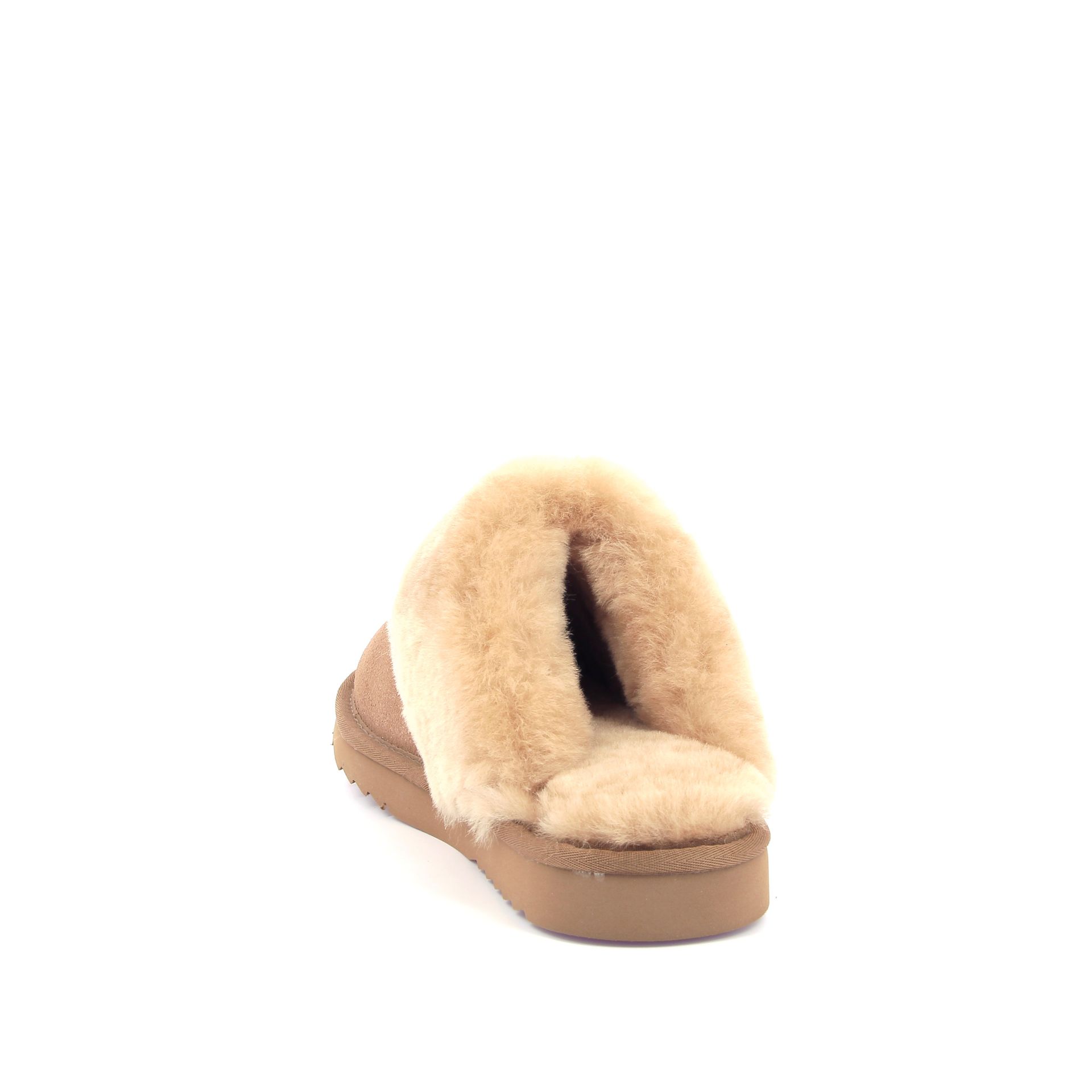 Warmbat Collie 267729 cognac