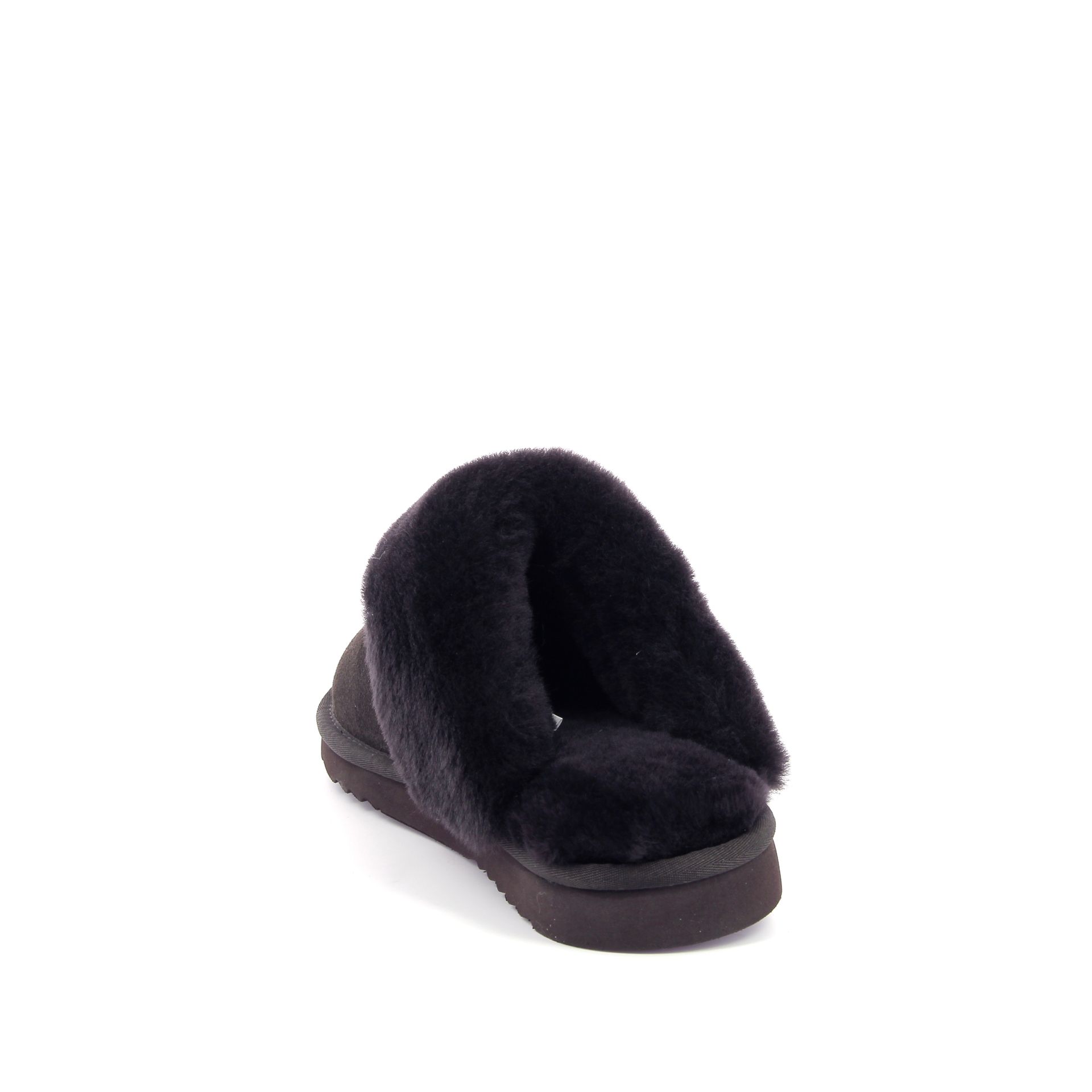 Warmbat Flurry 267733 bruin