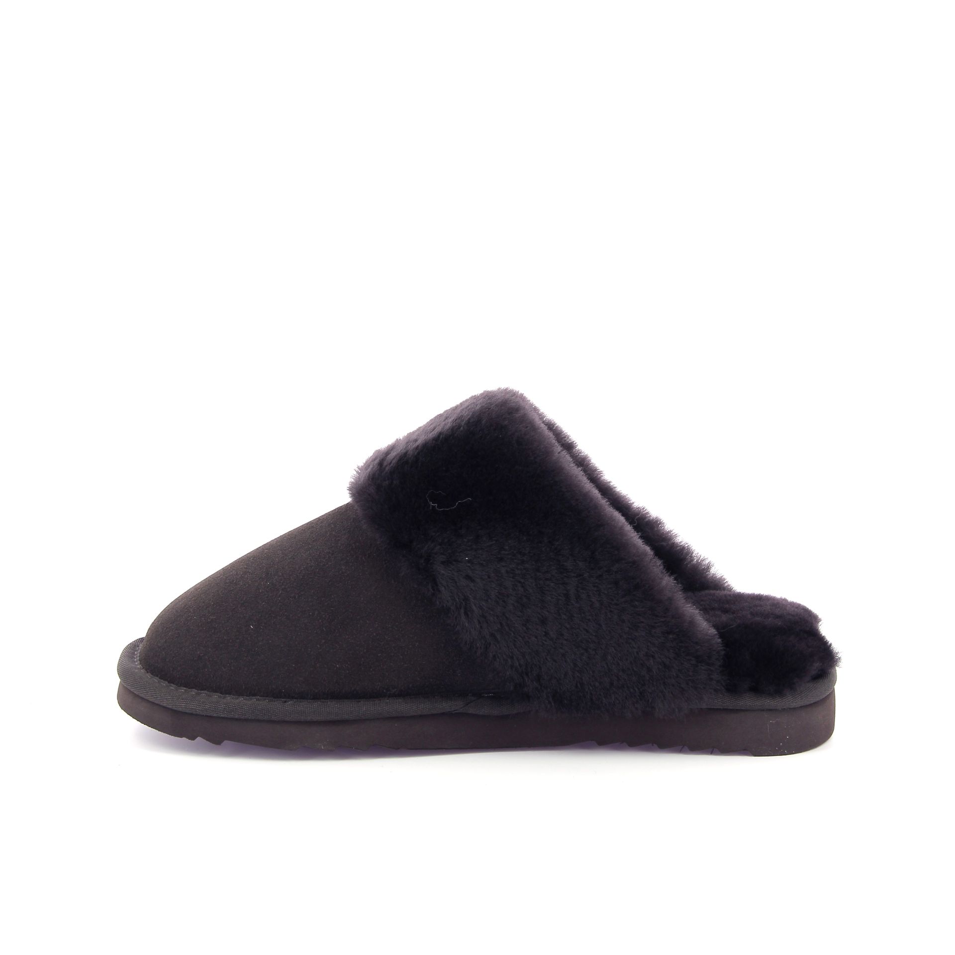 Warmbat Flurry 267733 bruin