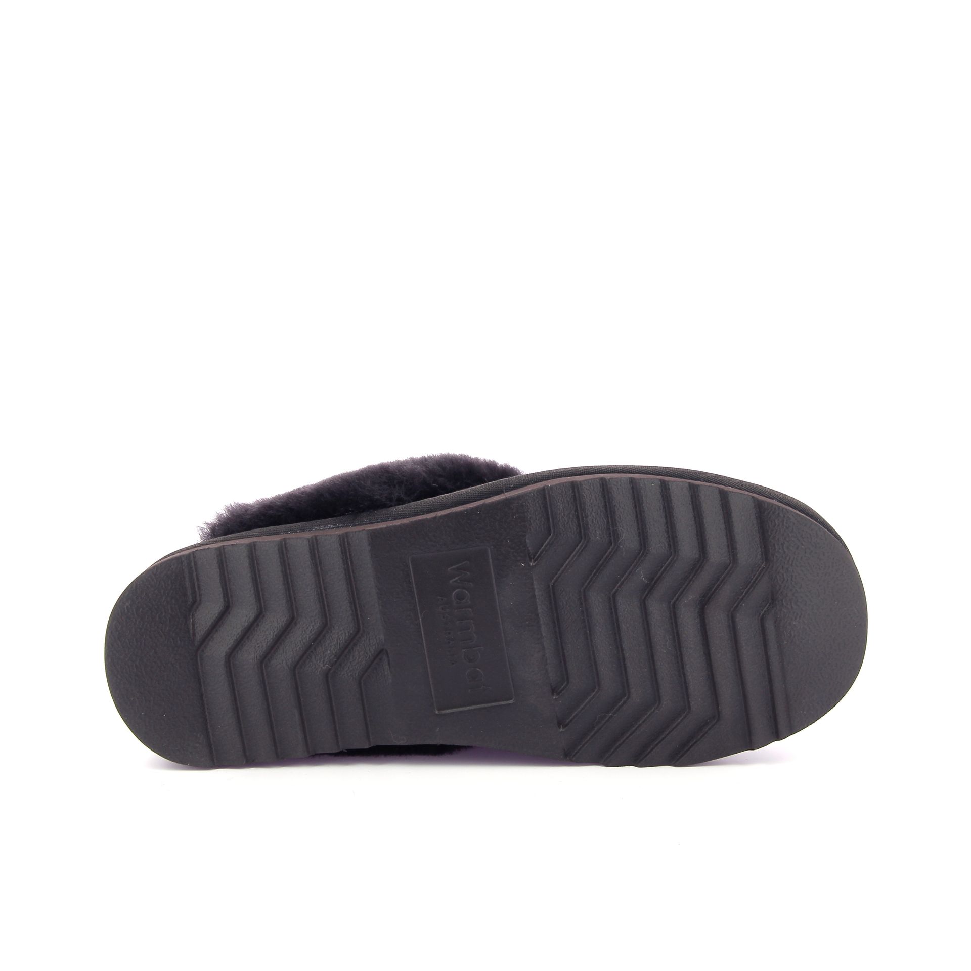 Warmbat Flurry 267733 bruin