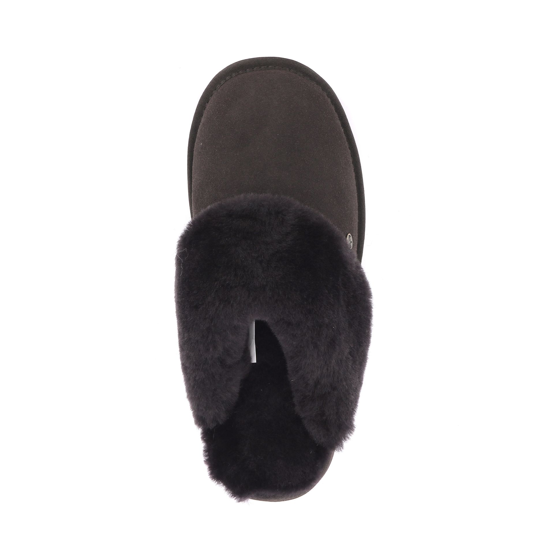 Warmbat Flurry 267733 bruin