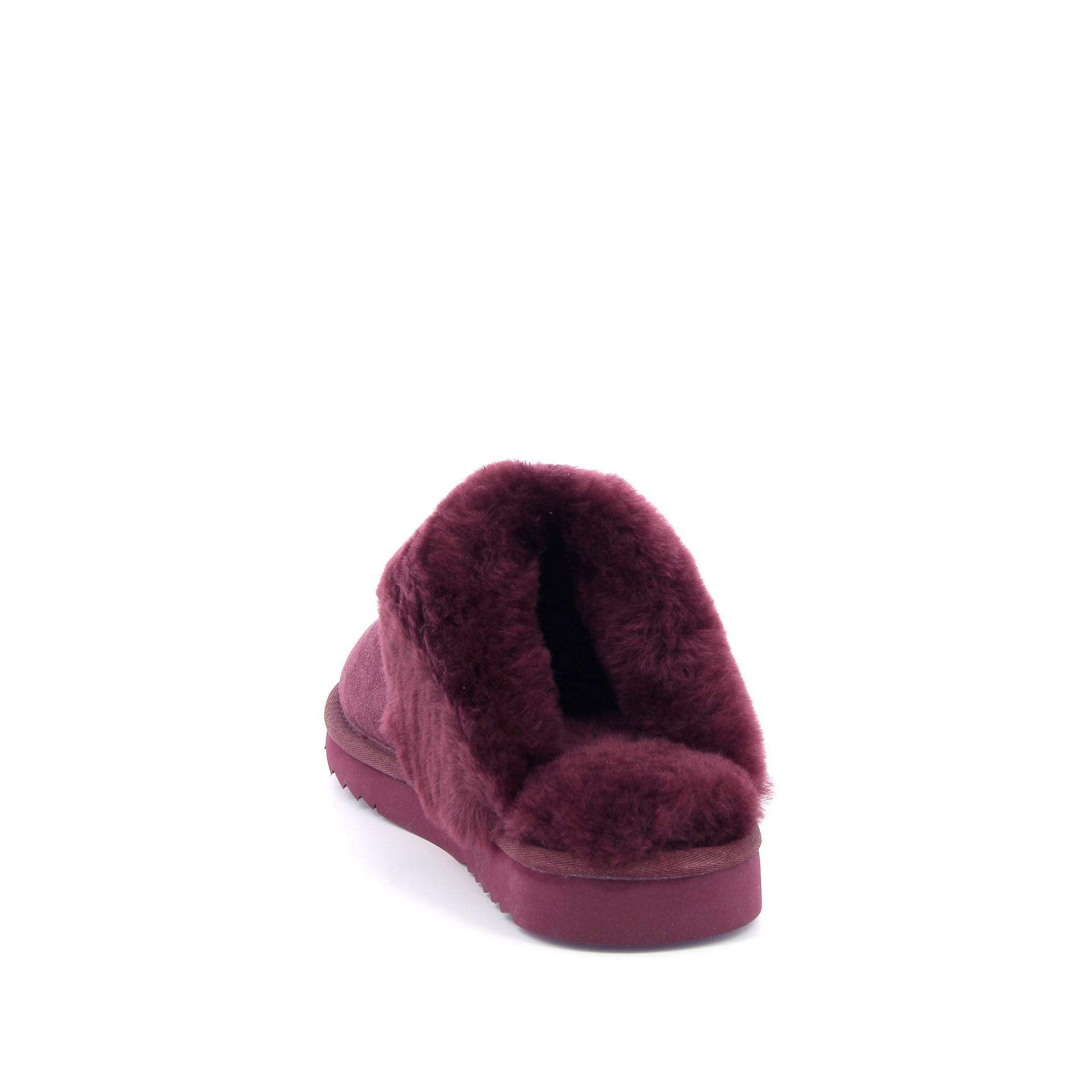 Warmbat Flurry 267734 rood