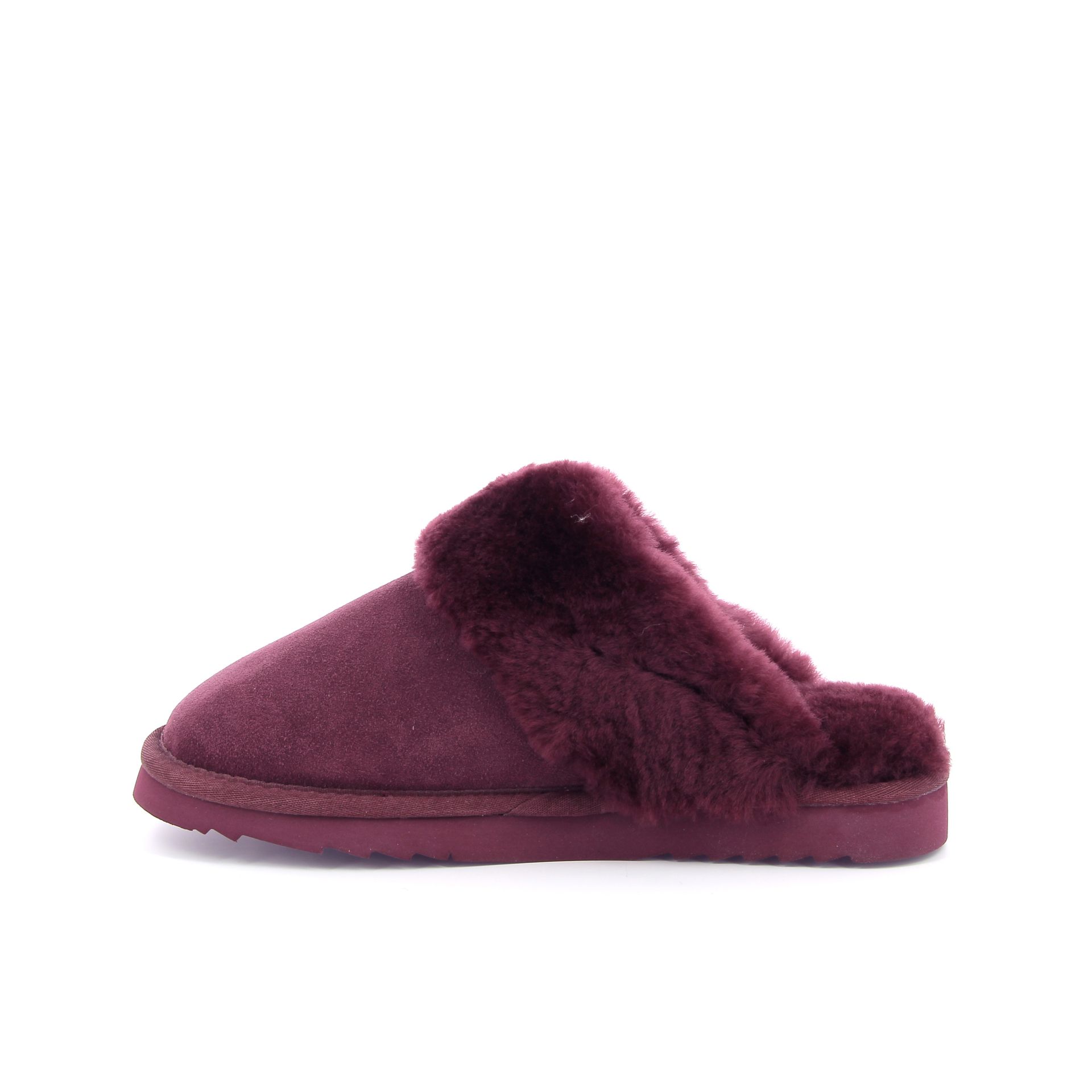 Warmbat Flurry 267734 rood