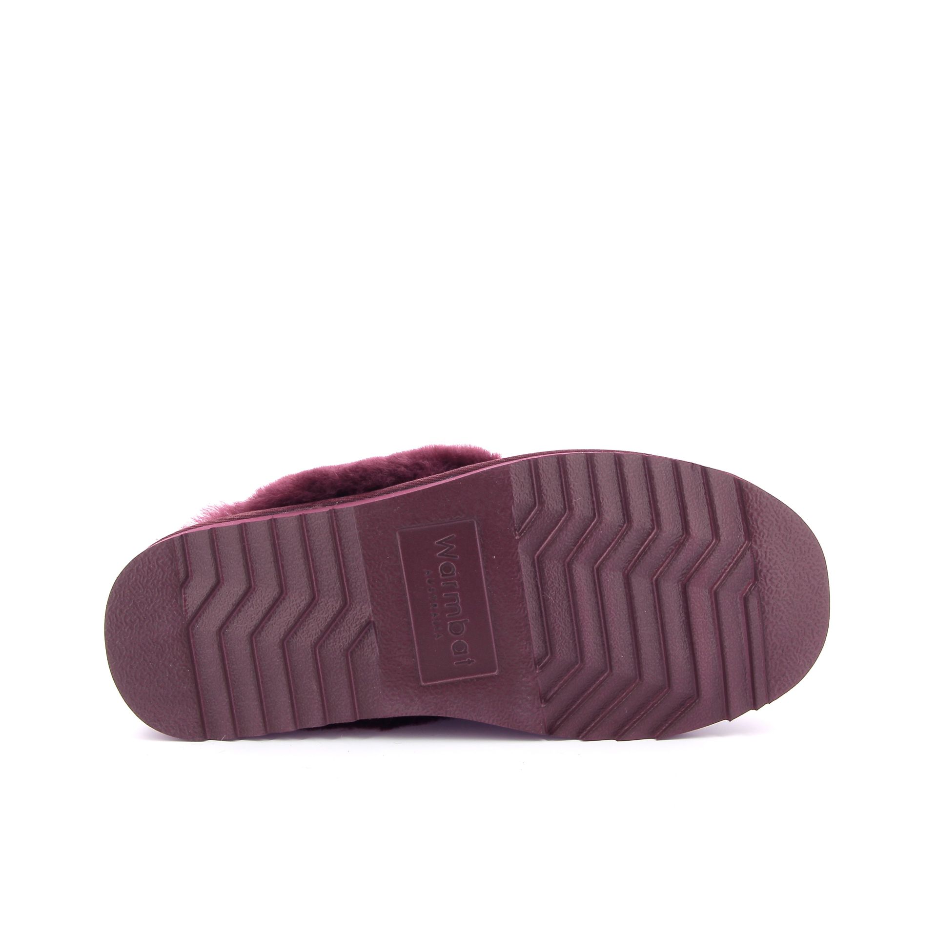 Warmbat Flurry 267734 rood
