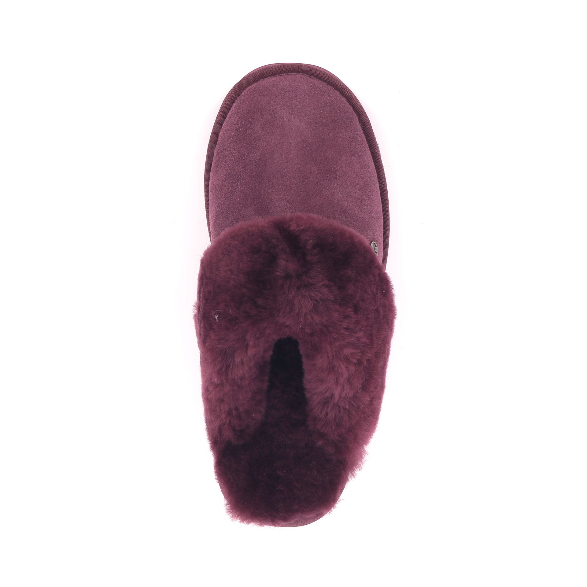 Warmbat Flurry 267734 rood