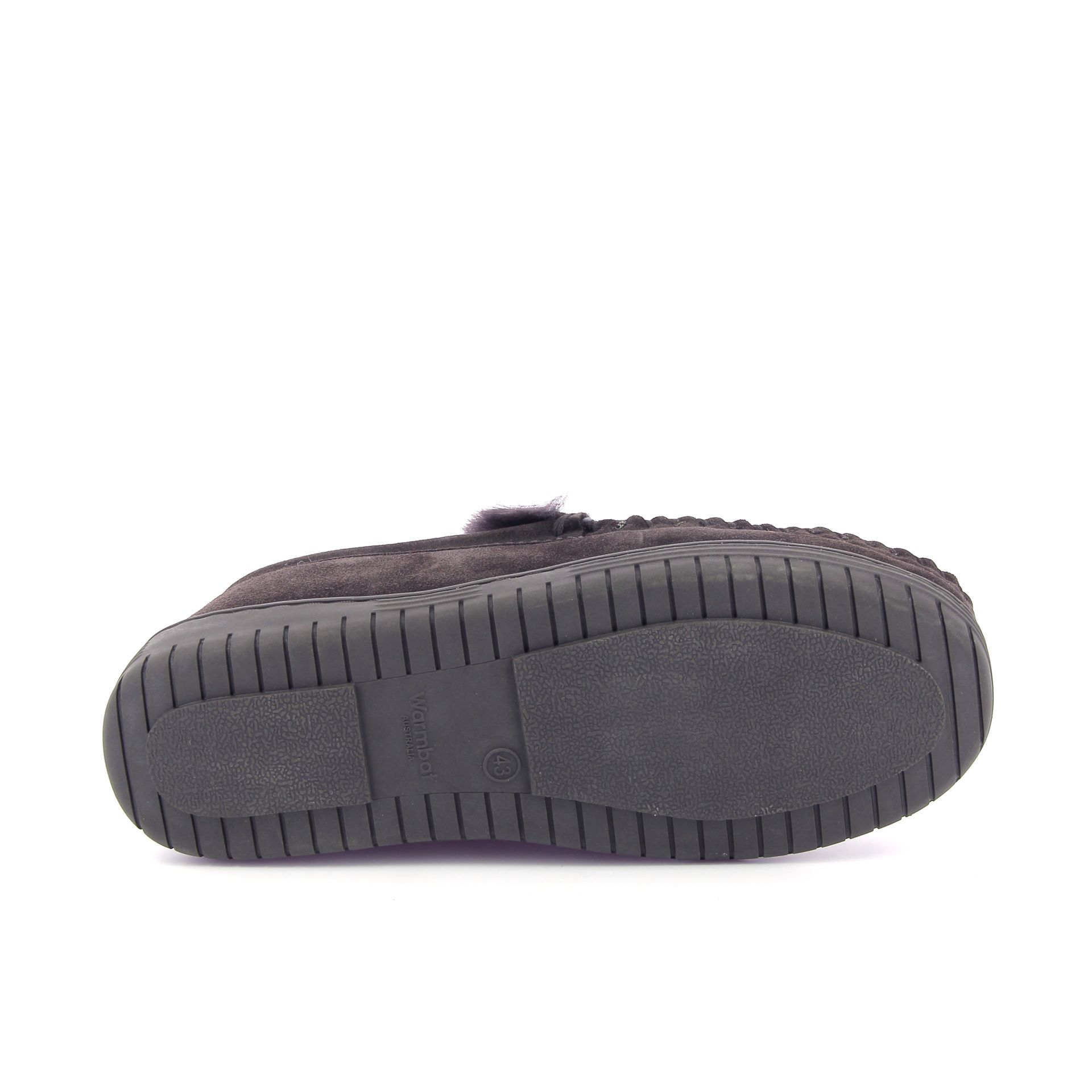 Warmbat Grizzly 267739 bruin
